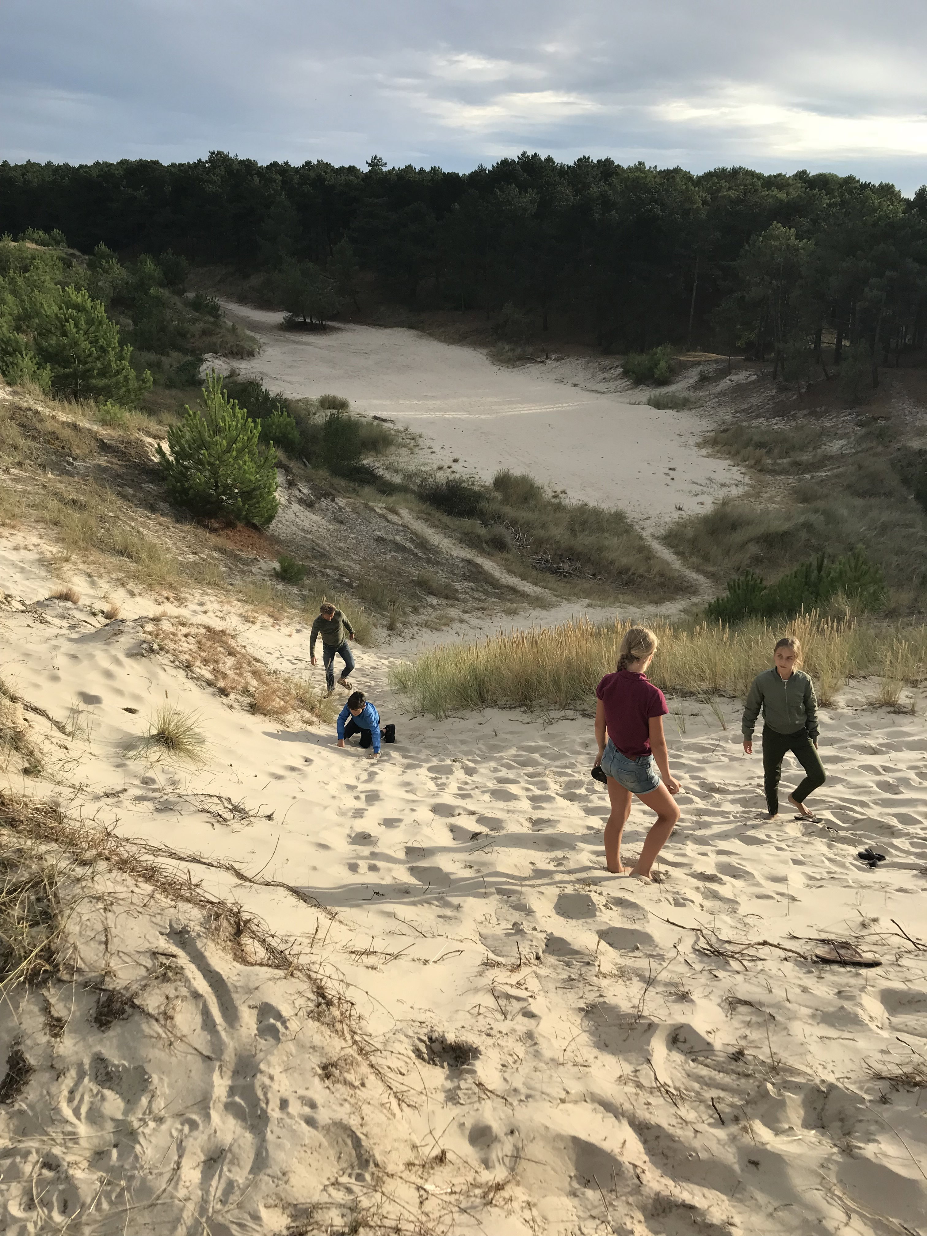 Naturhäuschen in West Terschelling