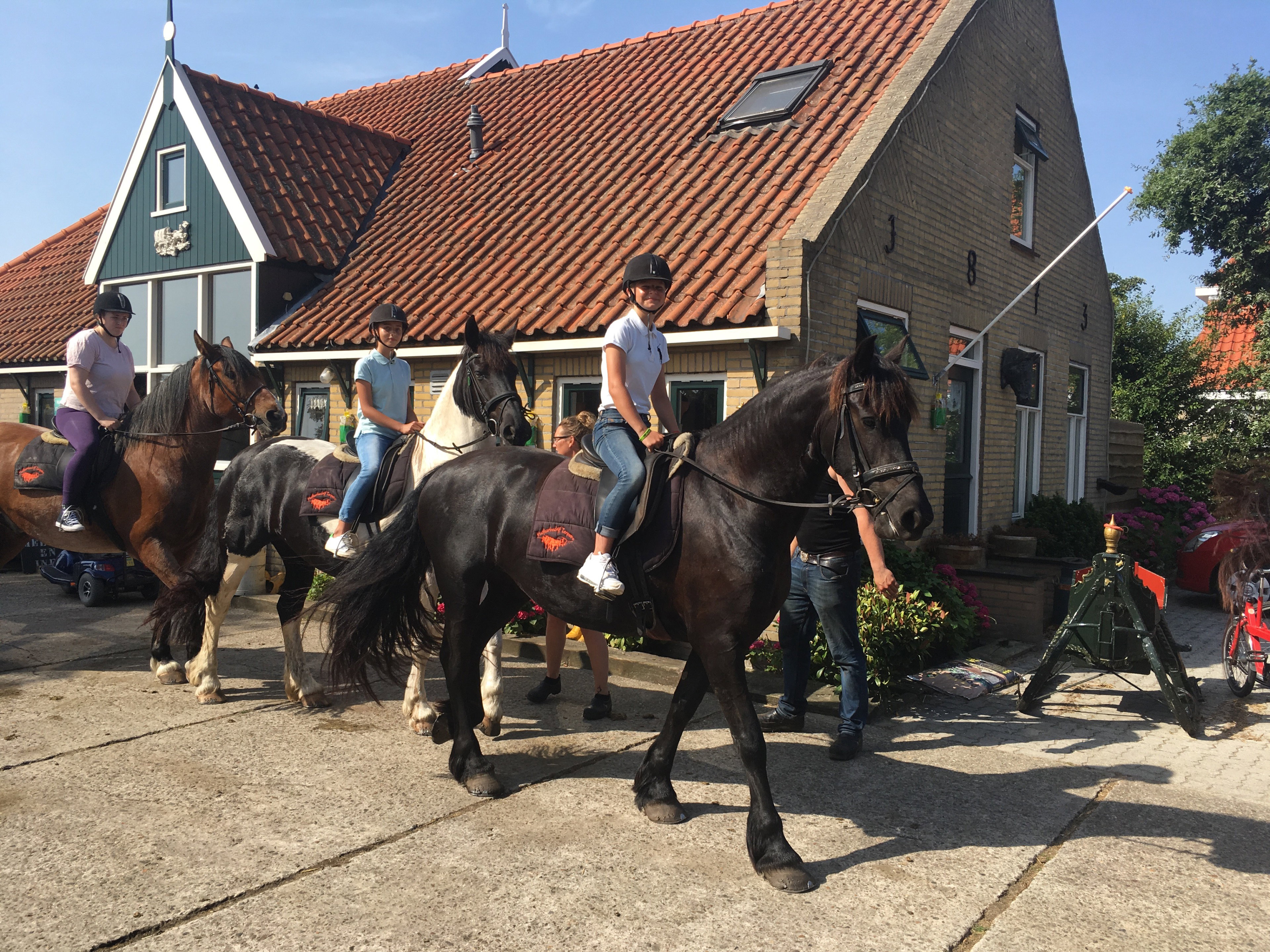 Naturhäuschen in West Terschelling