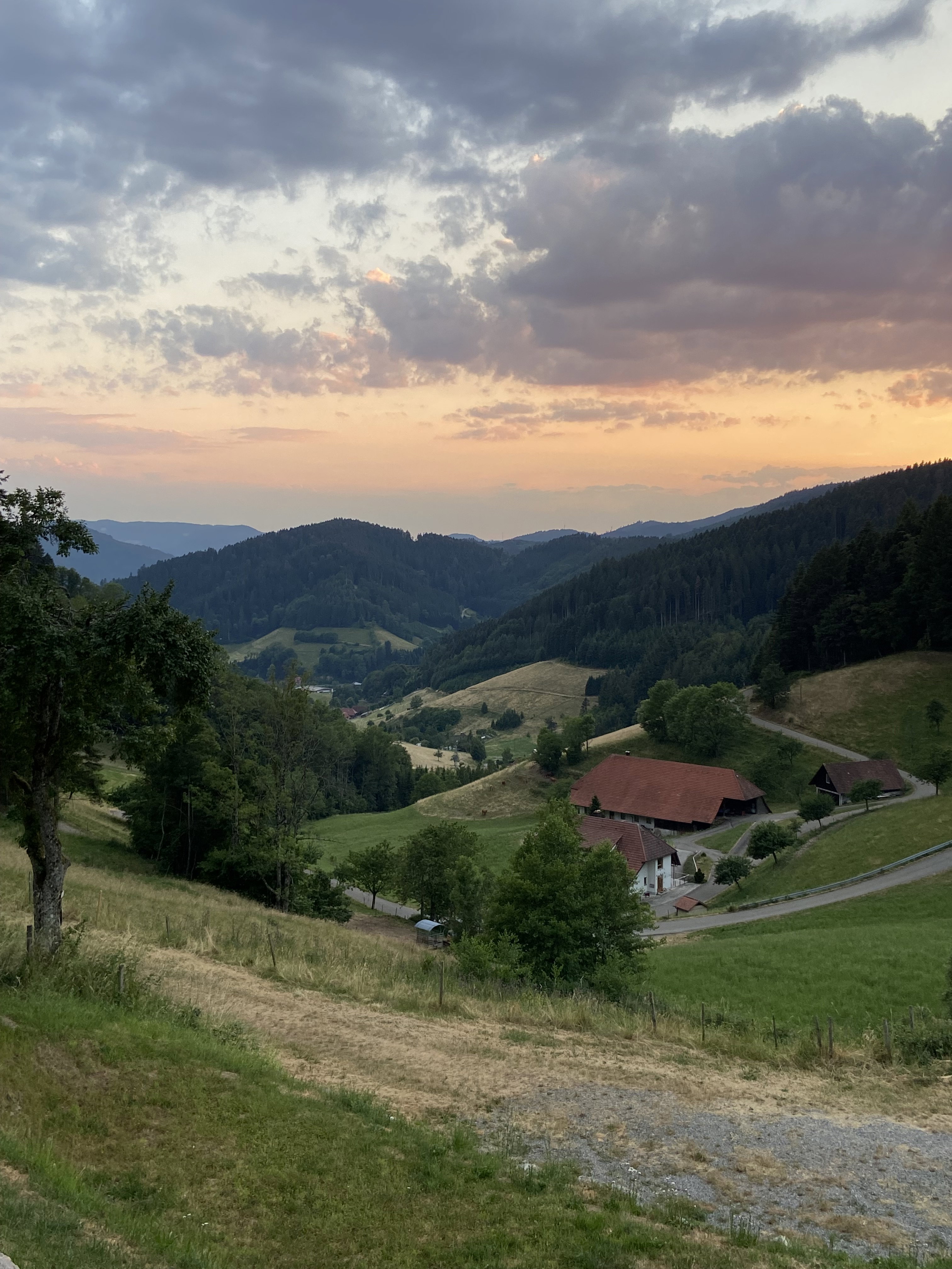 Natuurhuisje in Hausach