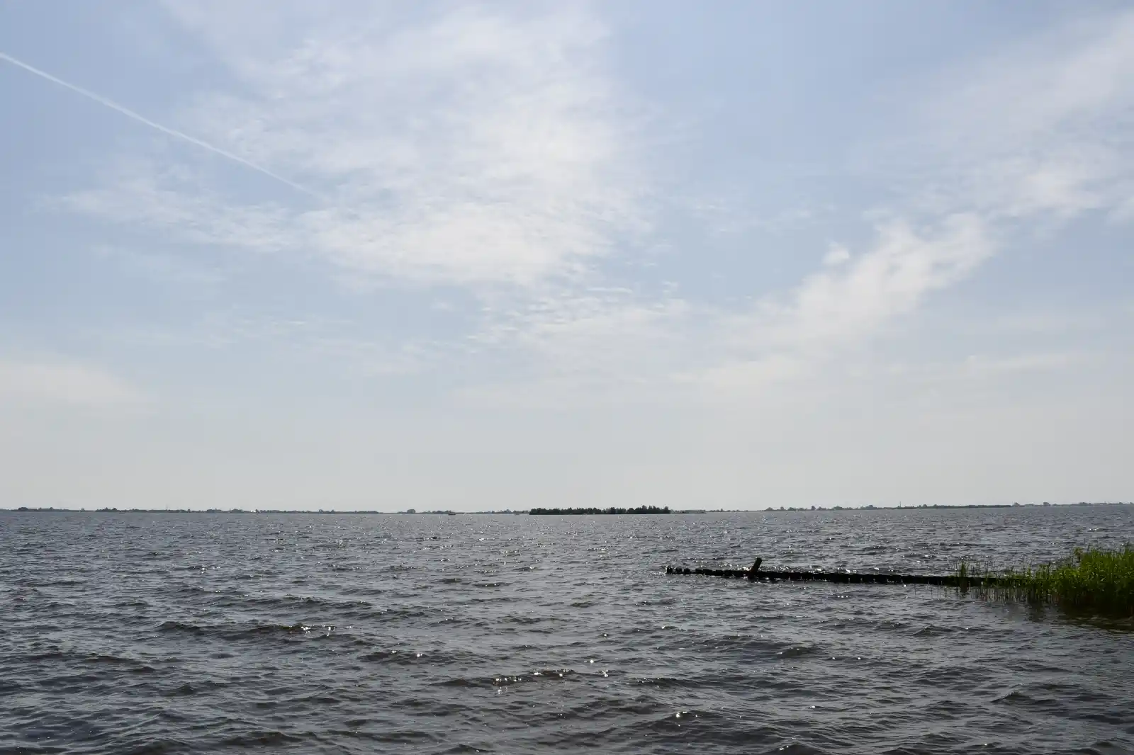 - image: 25