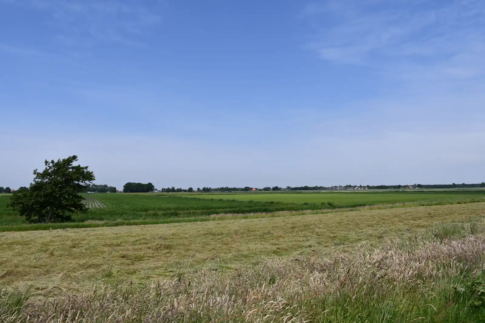 - image: 21