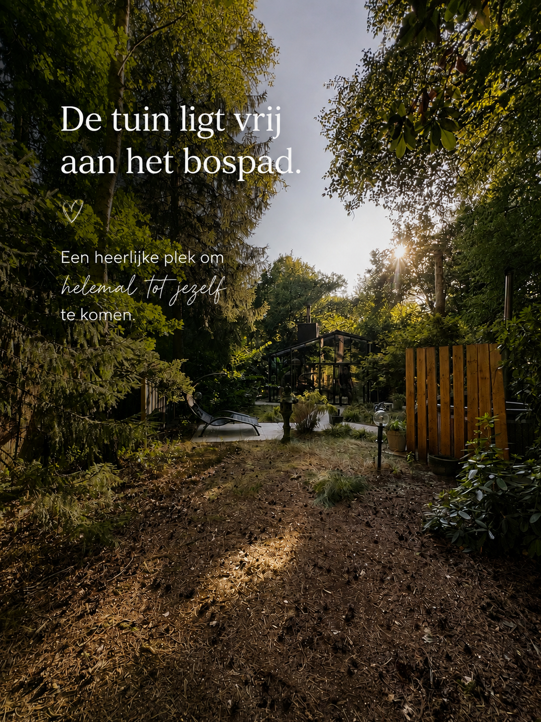 - image: 22