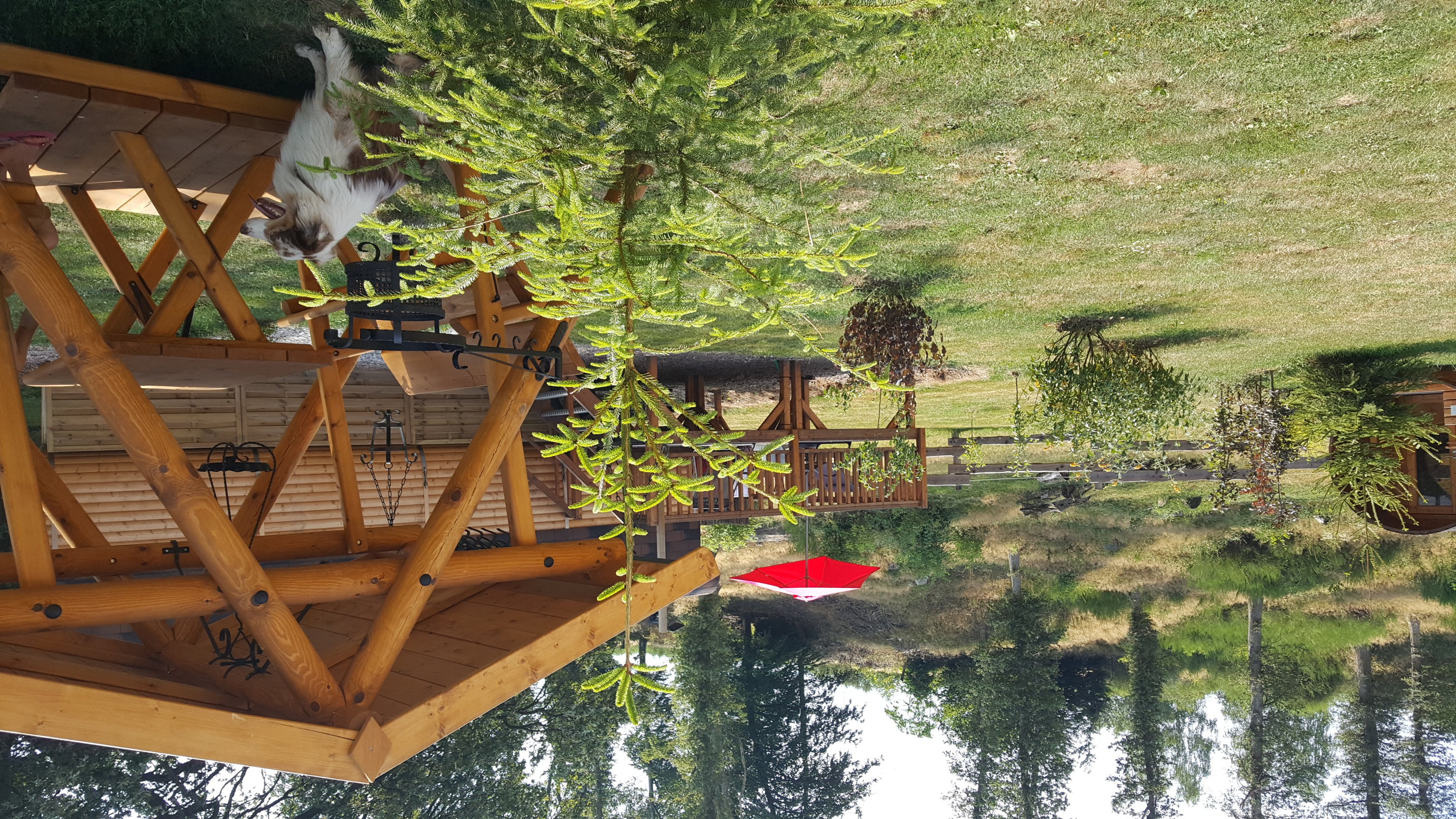 Maison nature à RAON AUX BOIS