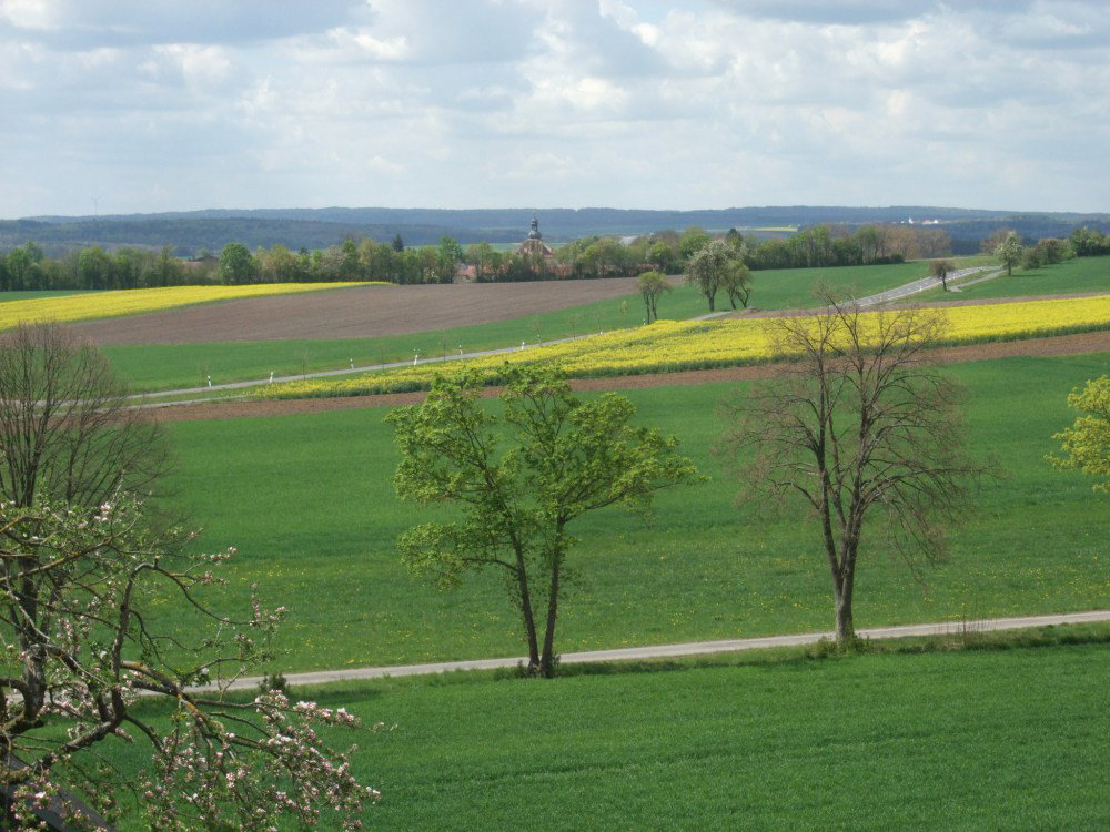 - image: 22