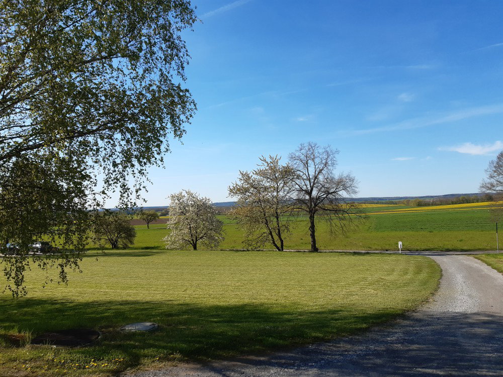 - image: 23