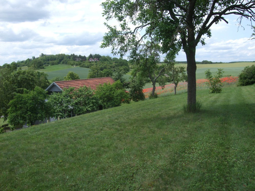 - image: 25
