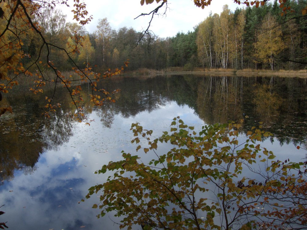 - image: 29