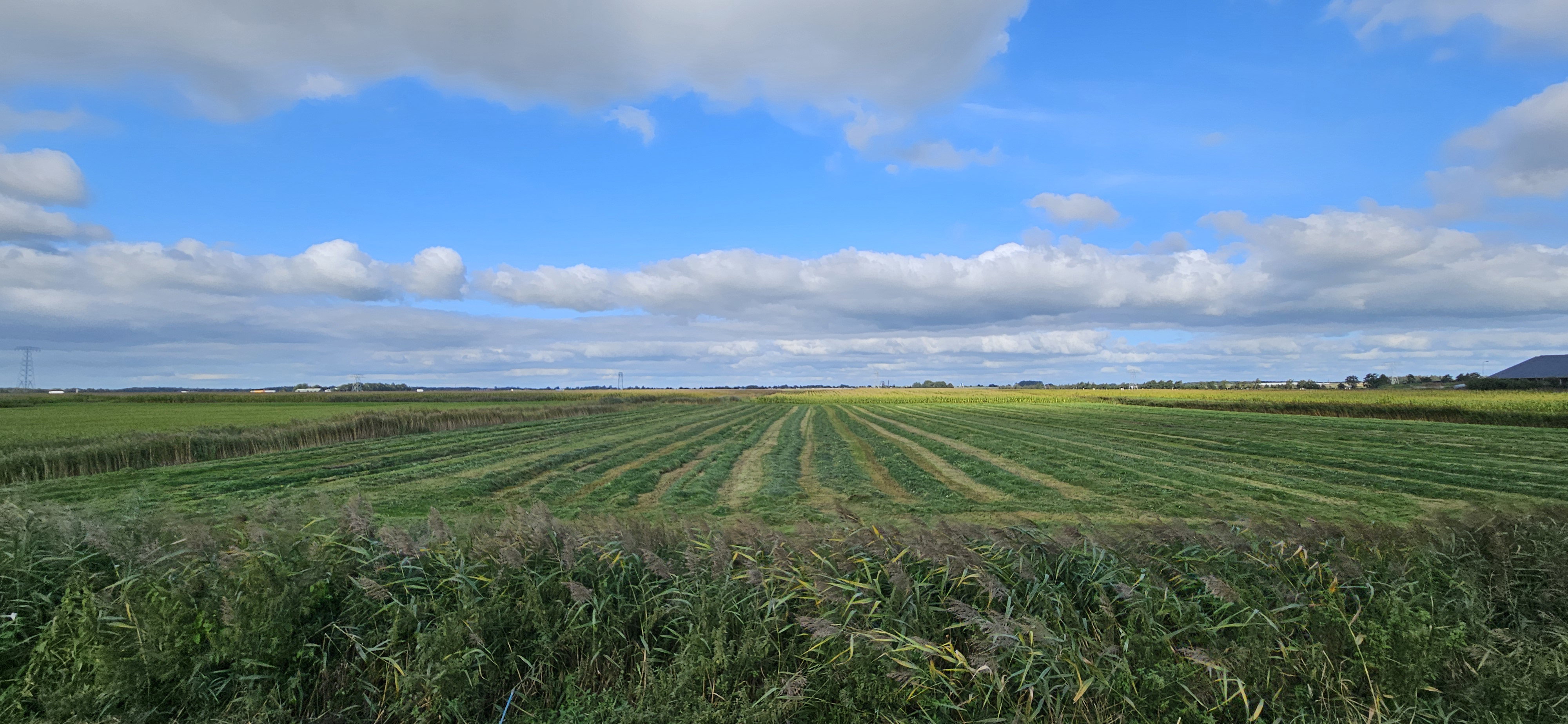 Naturhäuschen in Ouwster-Nijega