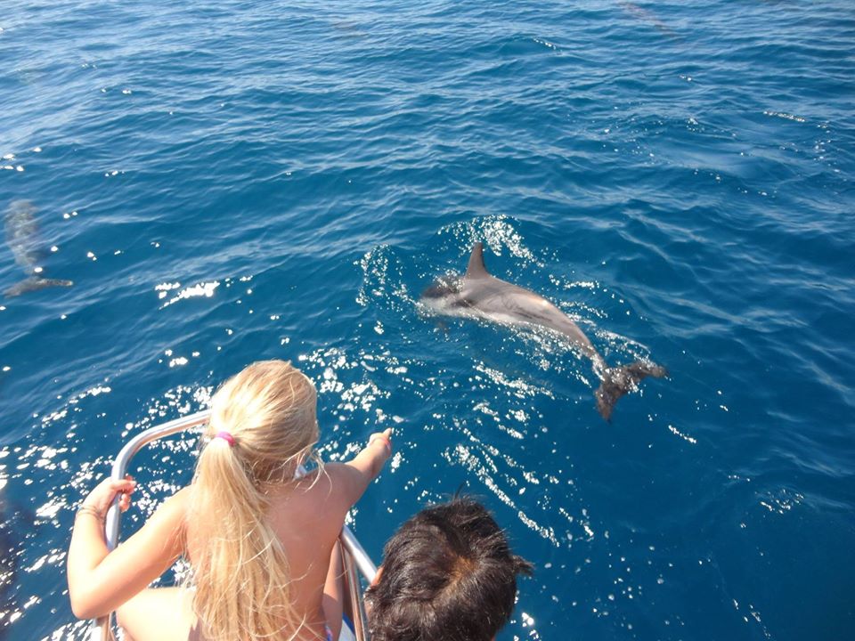 - image: 12