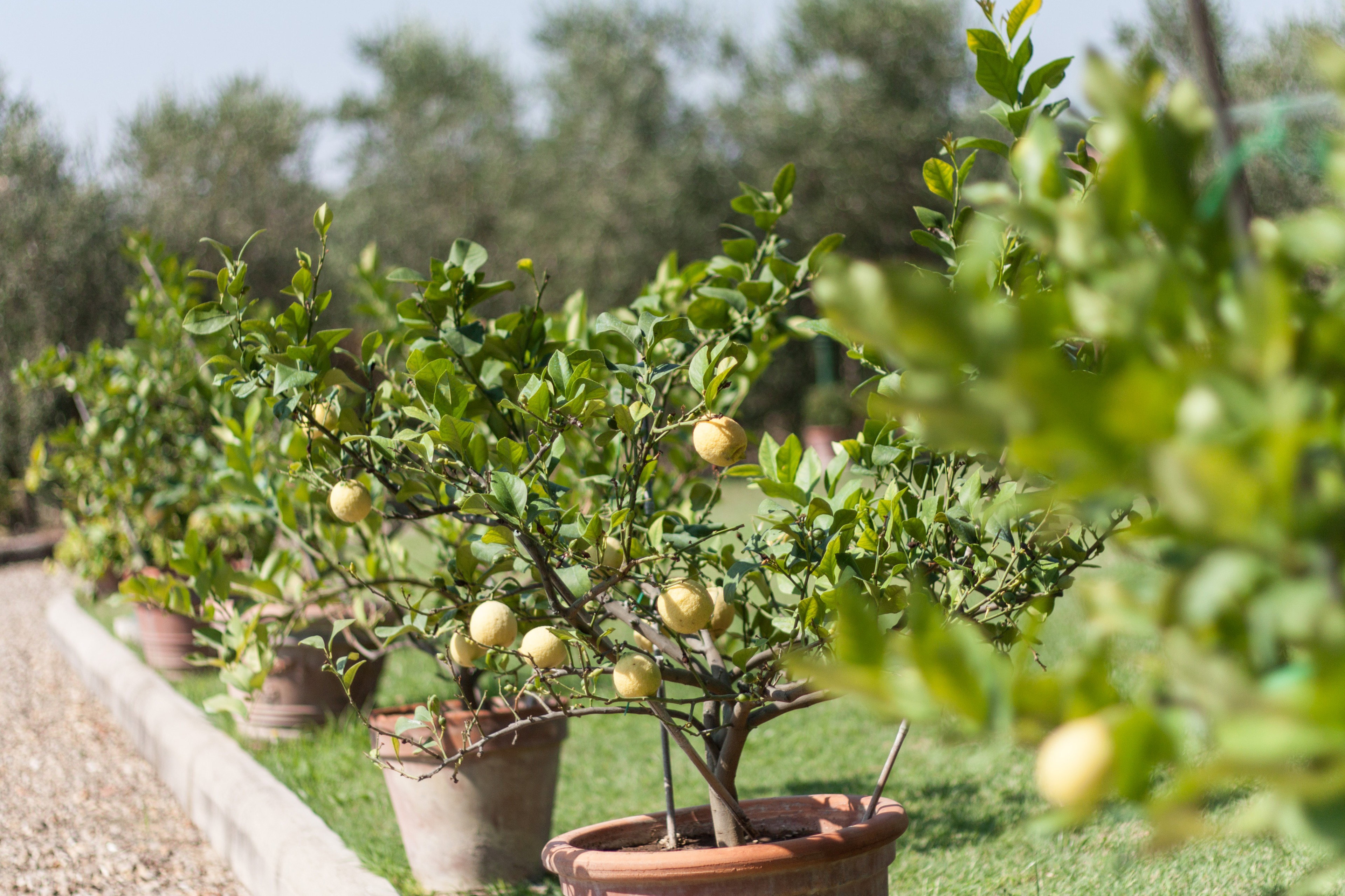 Casa nella natura a Castiglion Fiorentino