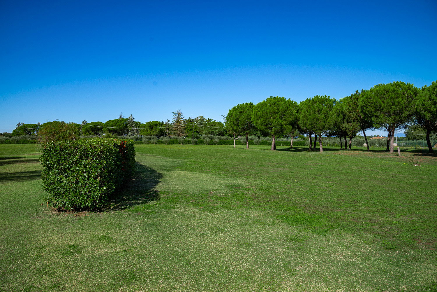 Casa nella natura a Castiglion Fiorentino