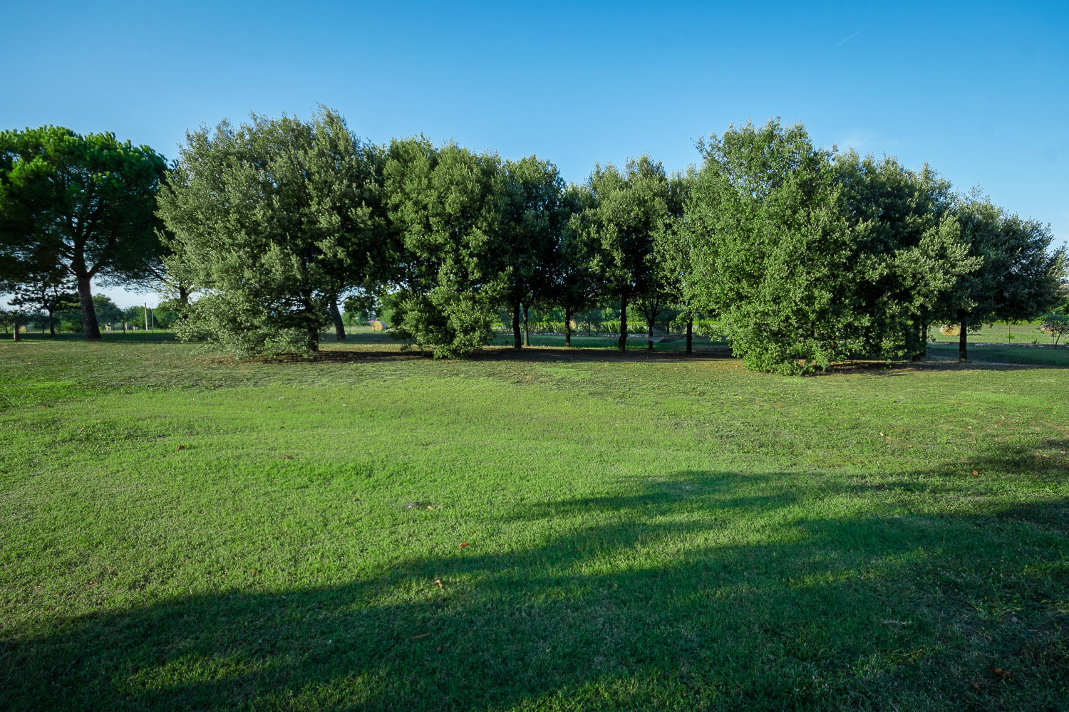 Casa nella natura a Castiglion Fiorentino