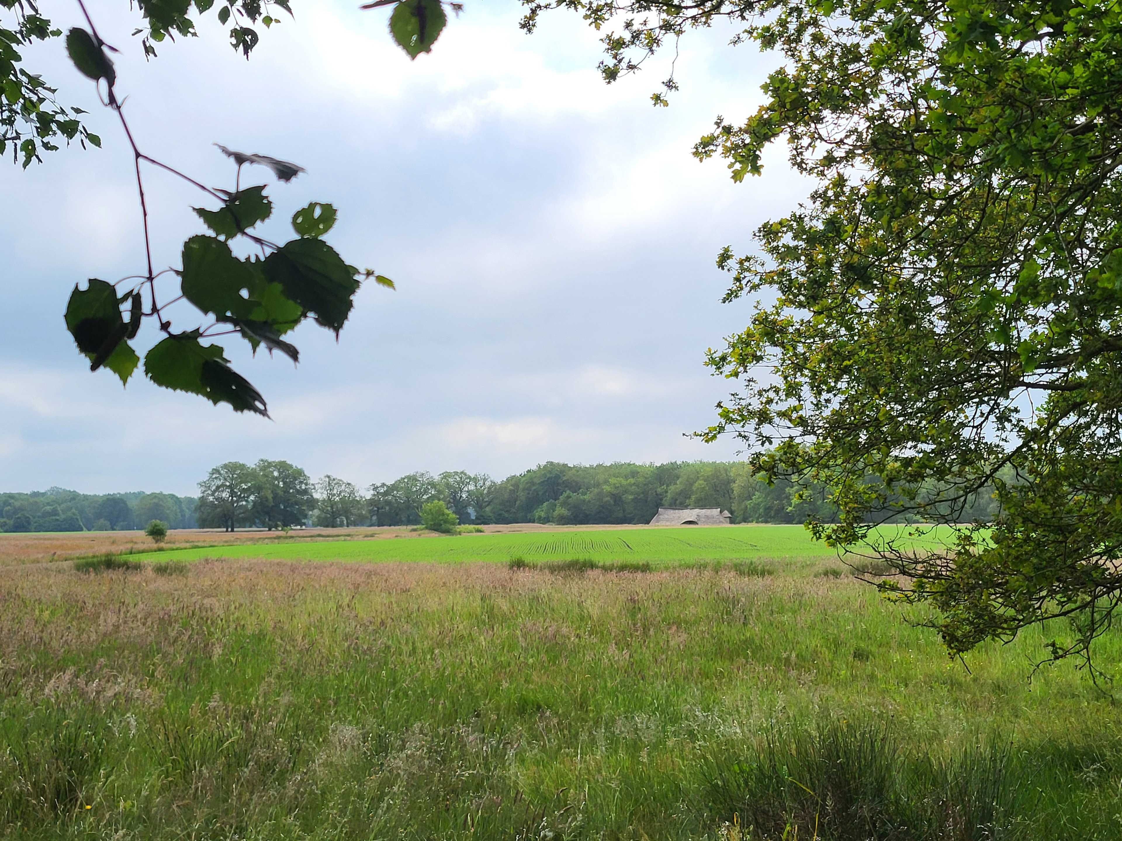 Natuurhuisje in Westerbork