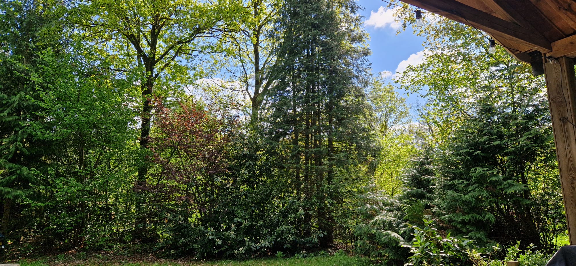 Casa nella natura a Westerbork