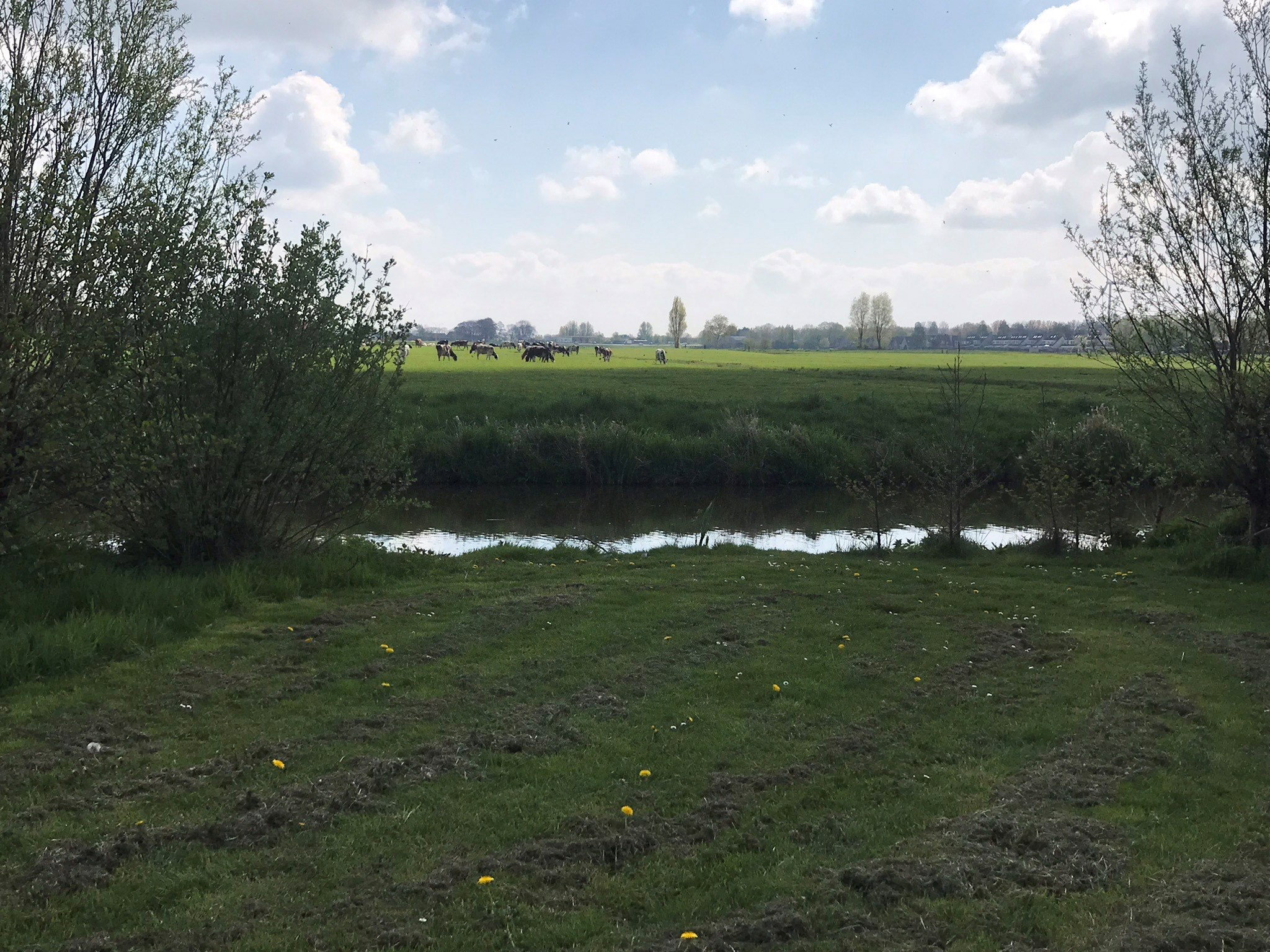 Naturhäuschen in Mijdrecht