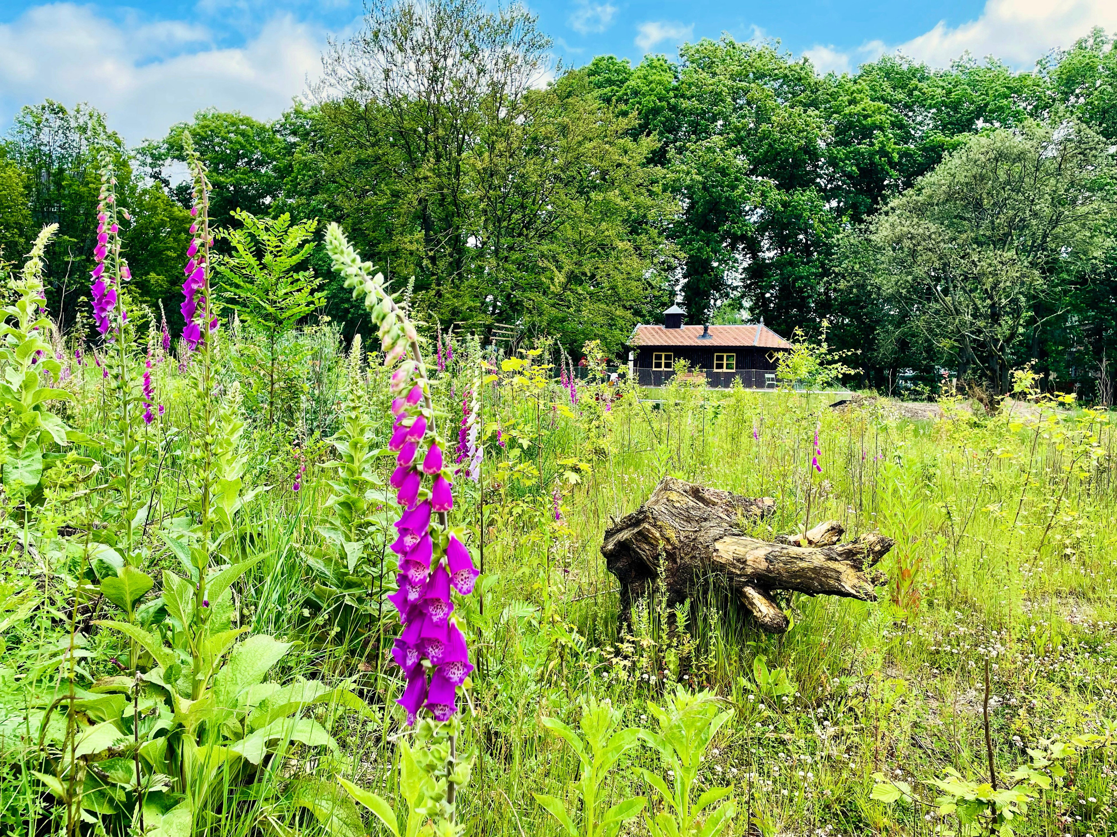 Naturhäuschen in Arnhem
