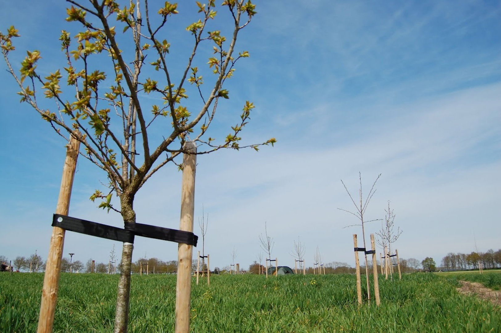 - image: 49