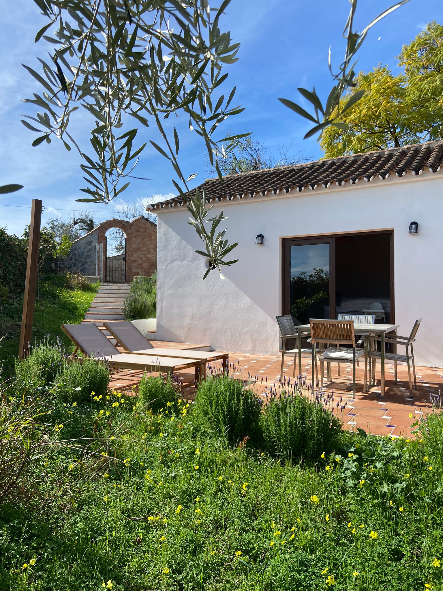 Casa nella natura a Monda