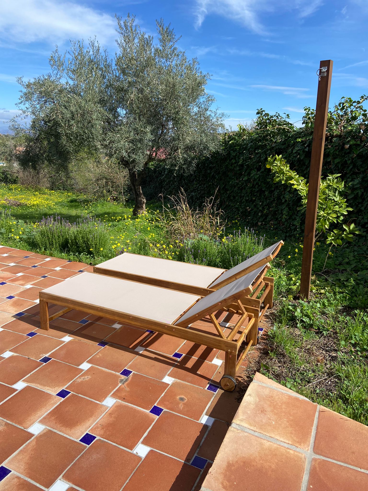 Casa nella natura a Monda