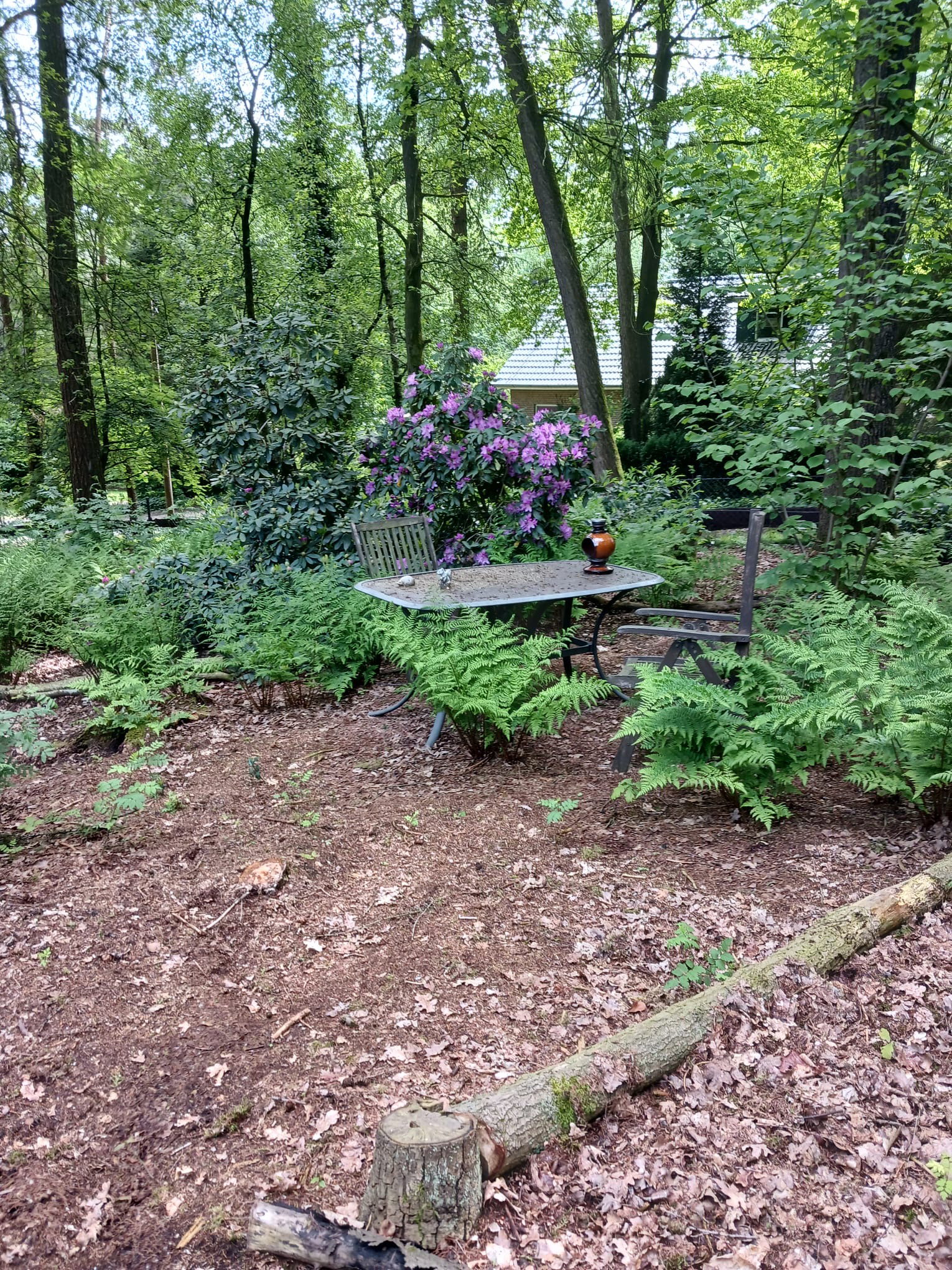 Naturhäuschen in Uelsen
