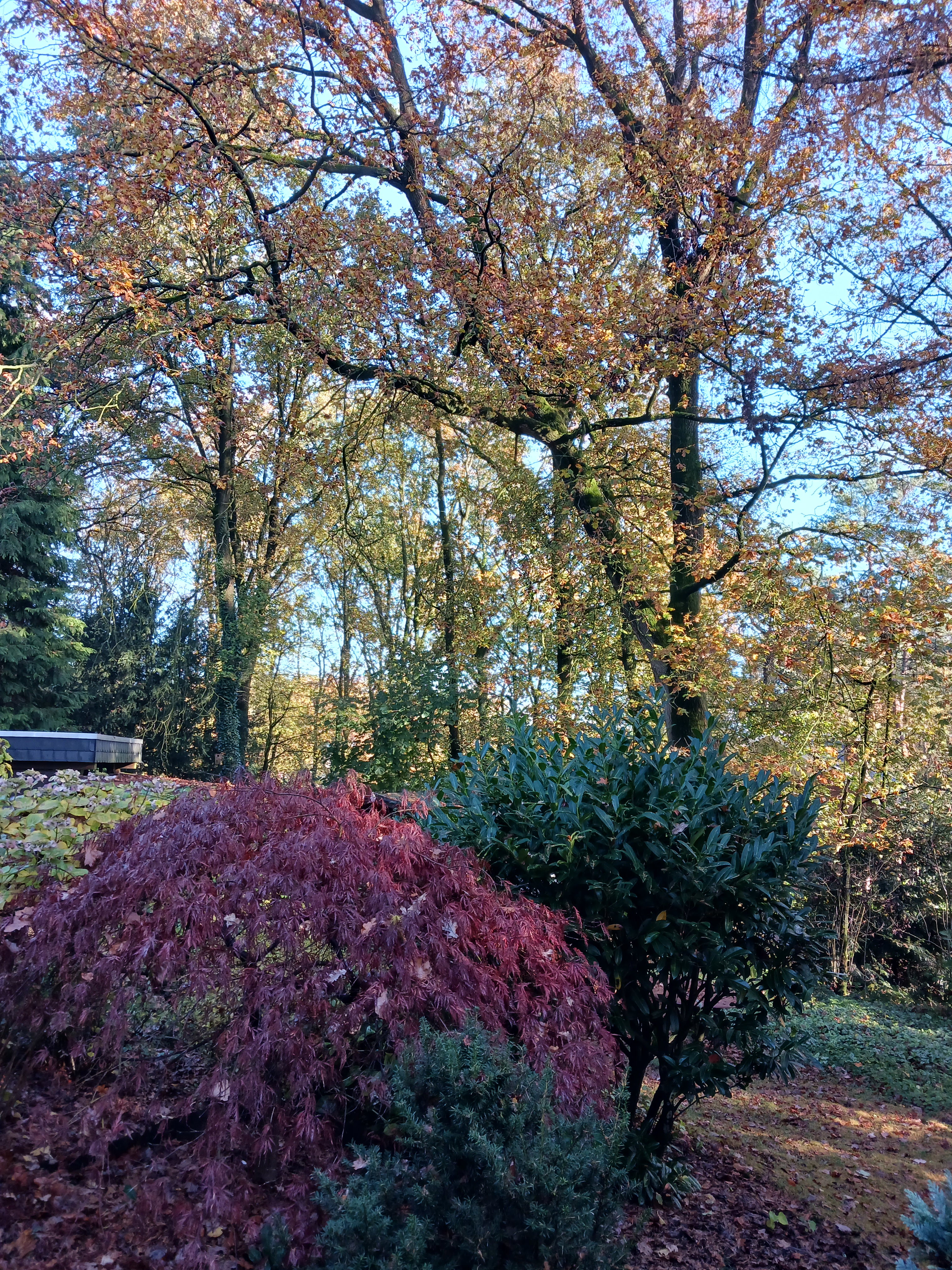 Naturhäuschen in Uelsen