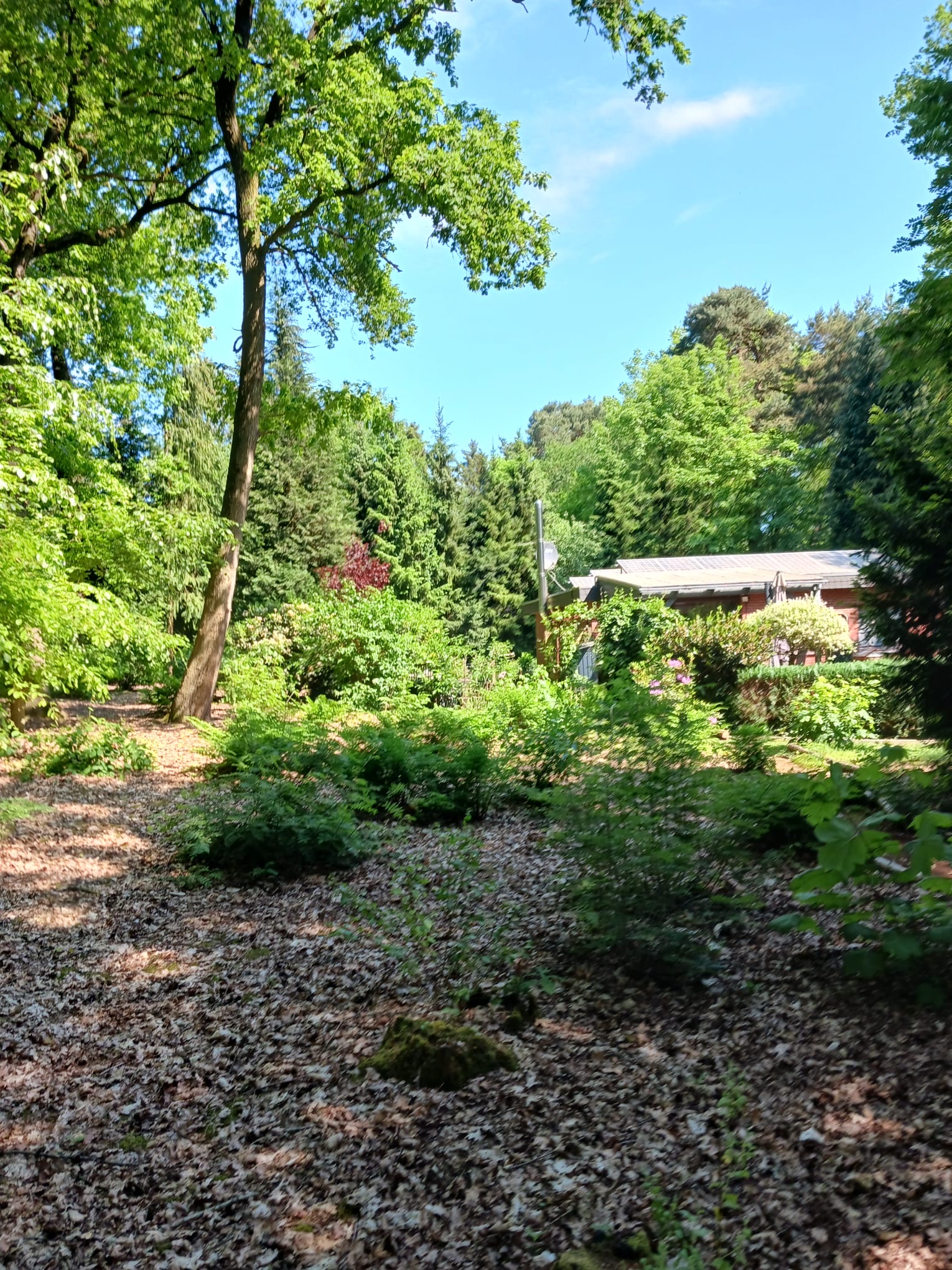 Naturhäuschen in Uelsen