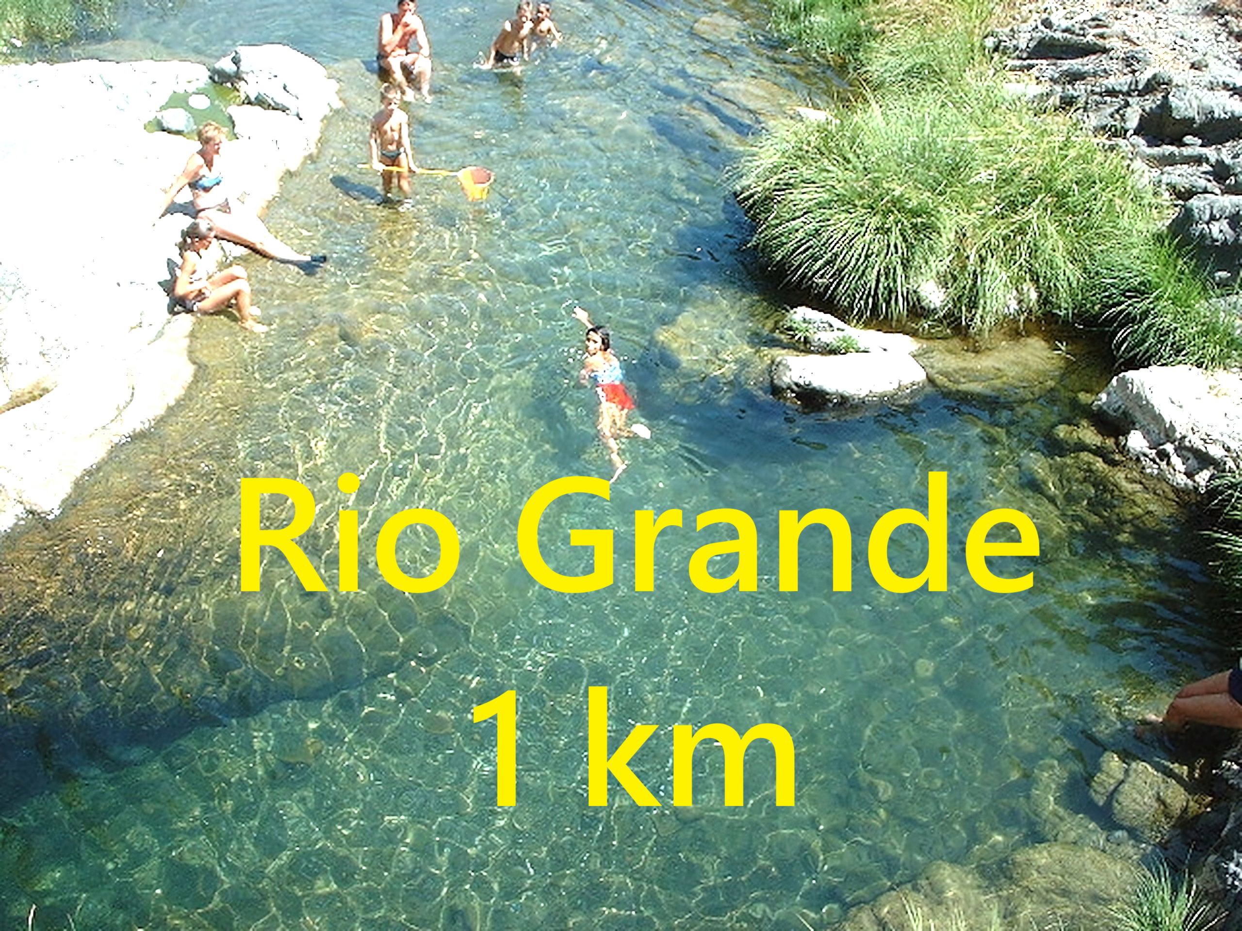 - image: 51