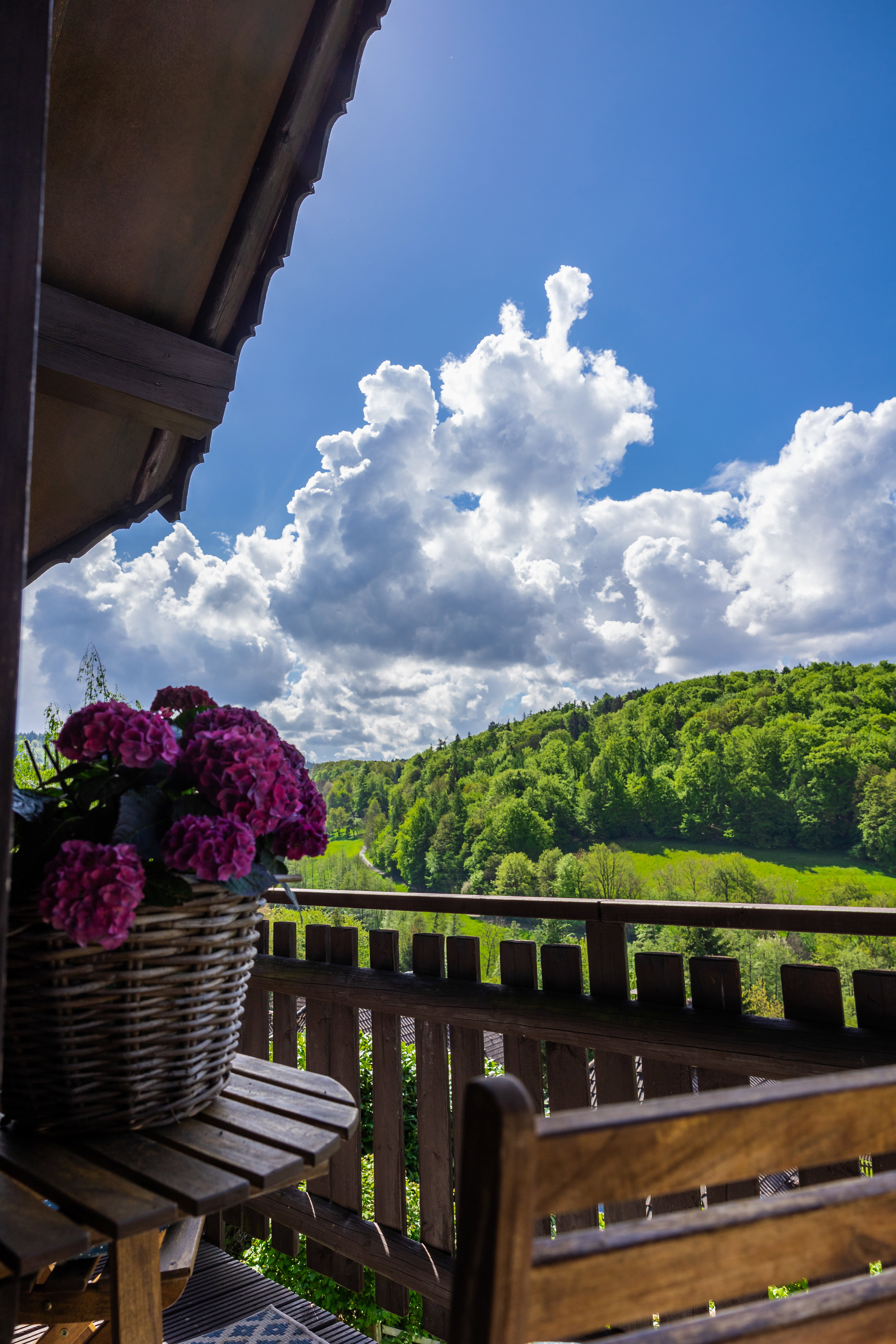 Natuurhuisje in Reichelsheim