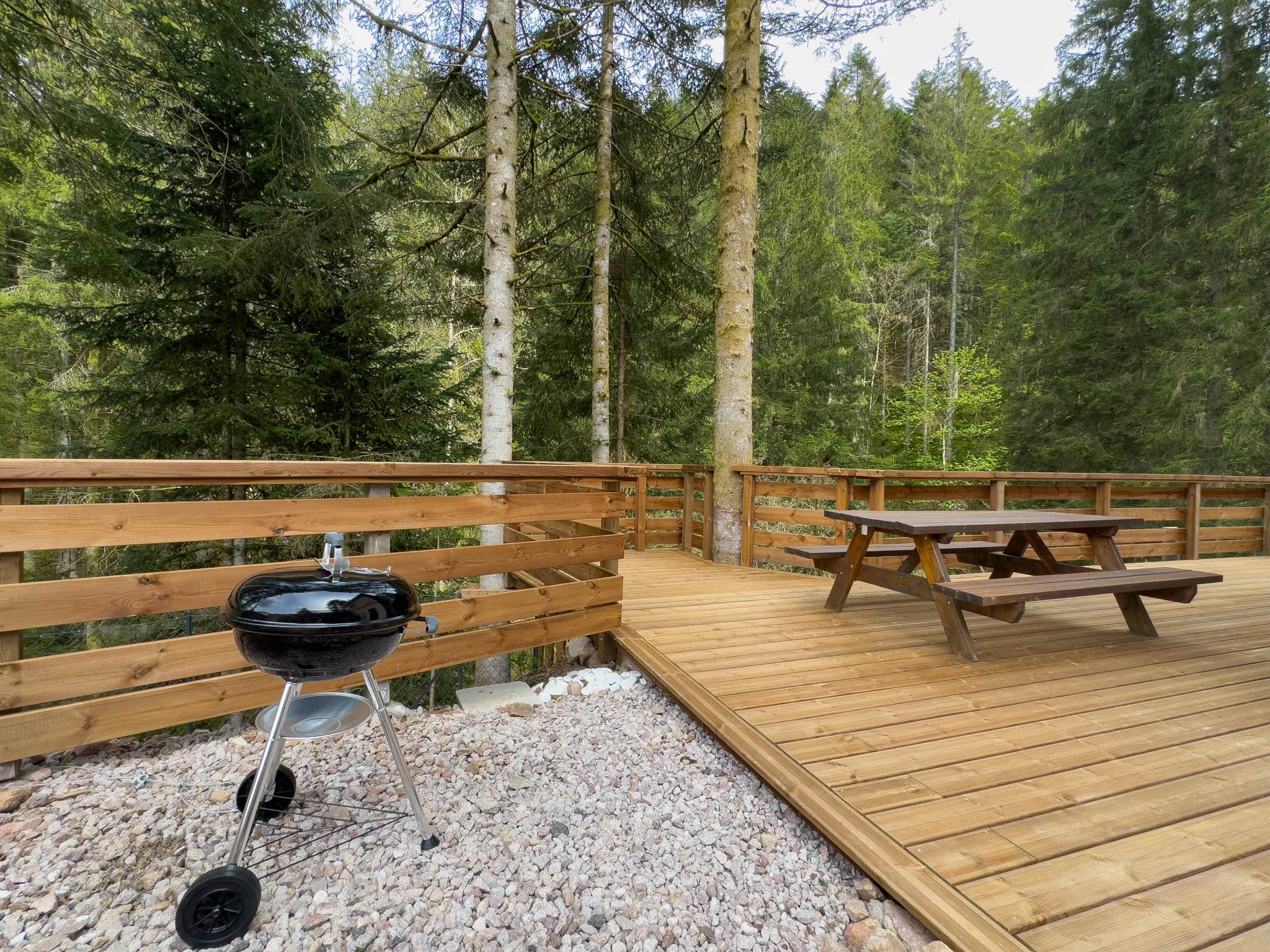 Maison nature à GERARDMER