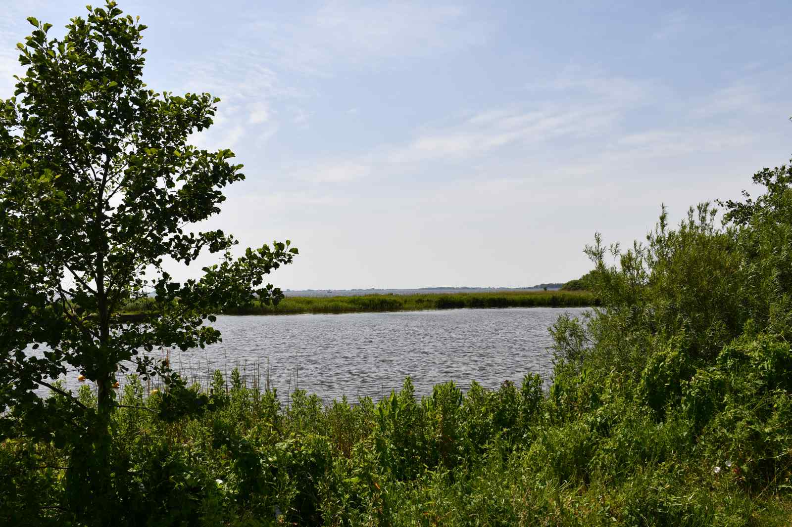 - image: 26