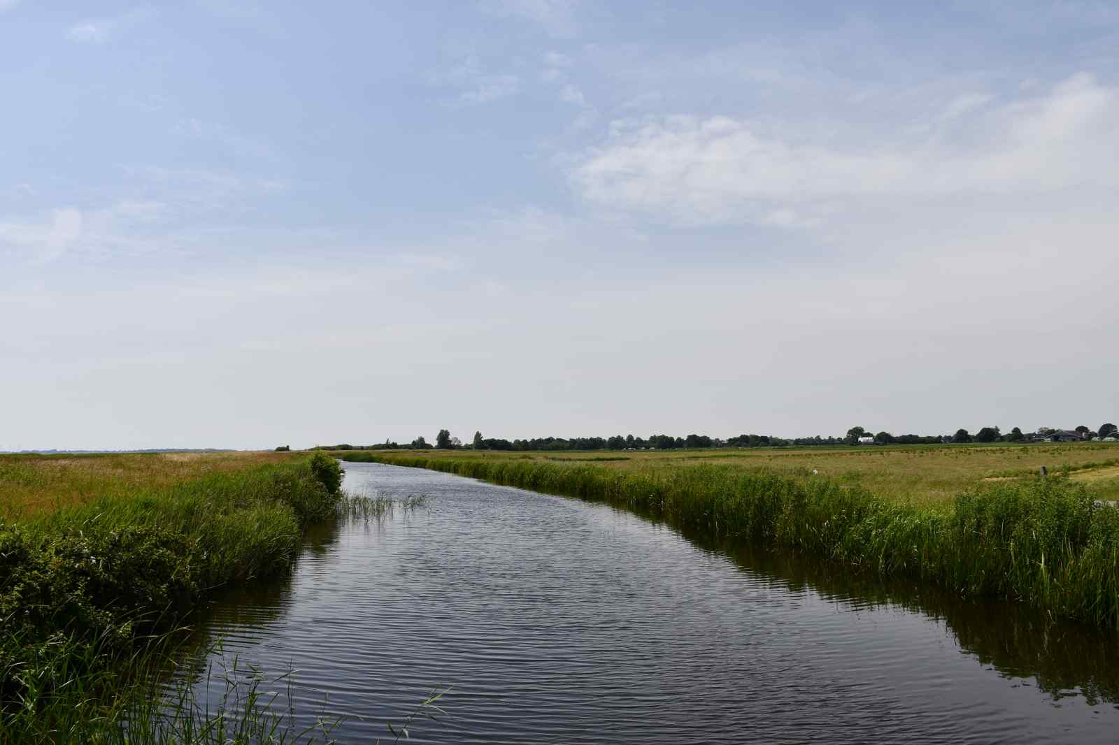 - image: 23
