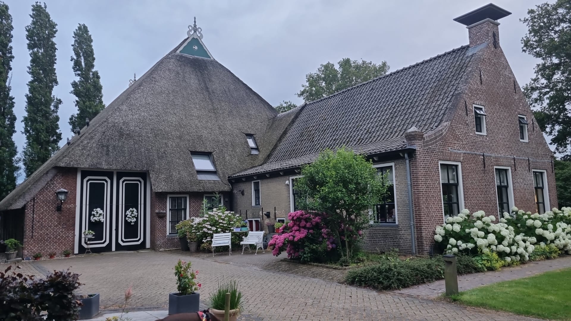 Maison nature à Nijemirdum