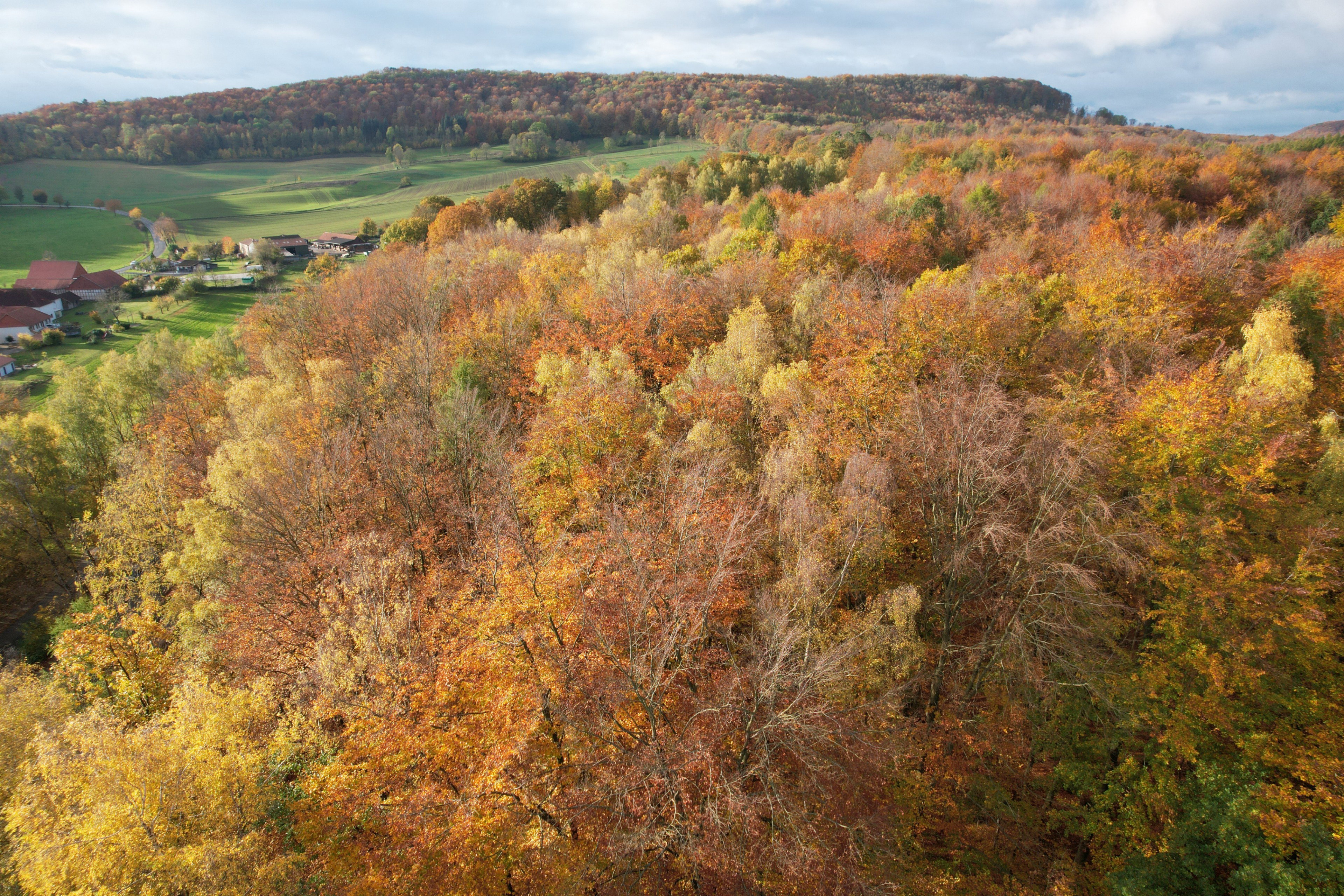 Naturhäuschen in Potzwenden