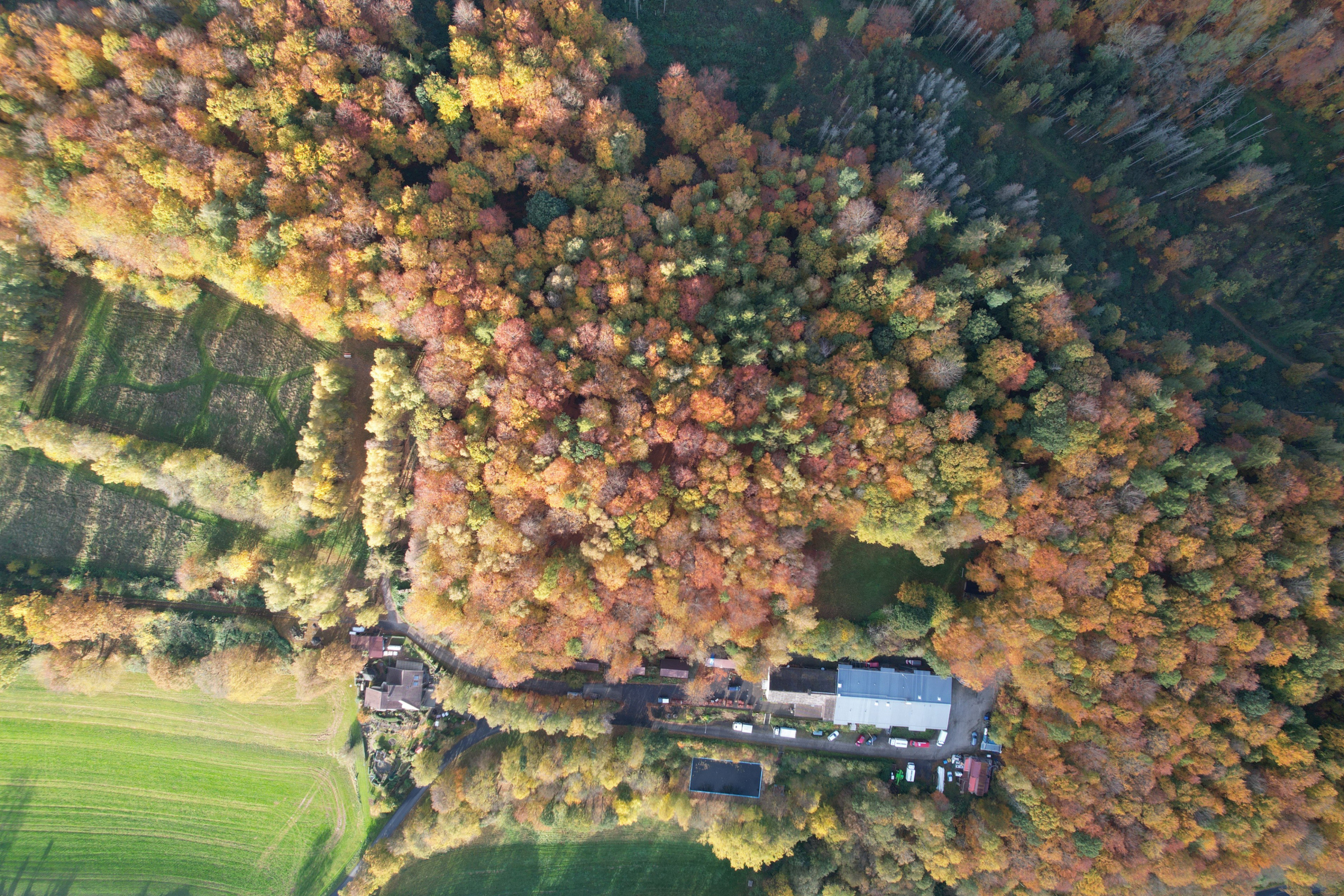 Naturhäuschen in Potzwenden