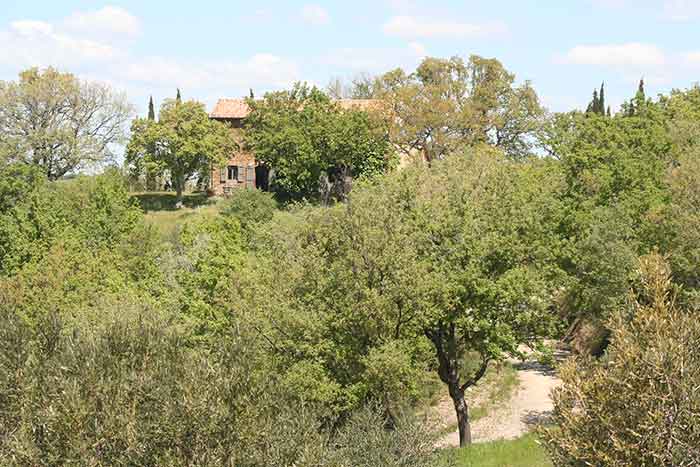 - image: 20