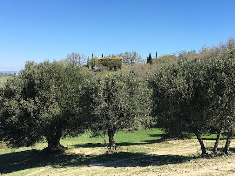 Maison nature à Castiglioncello Bandini