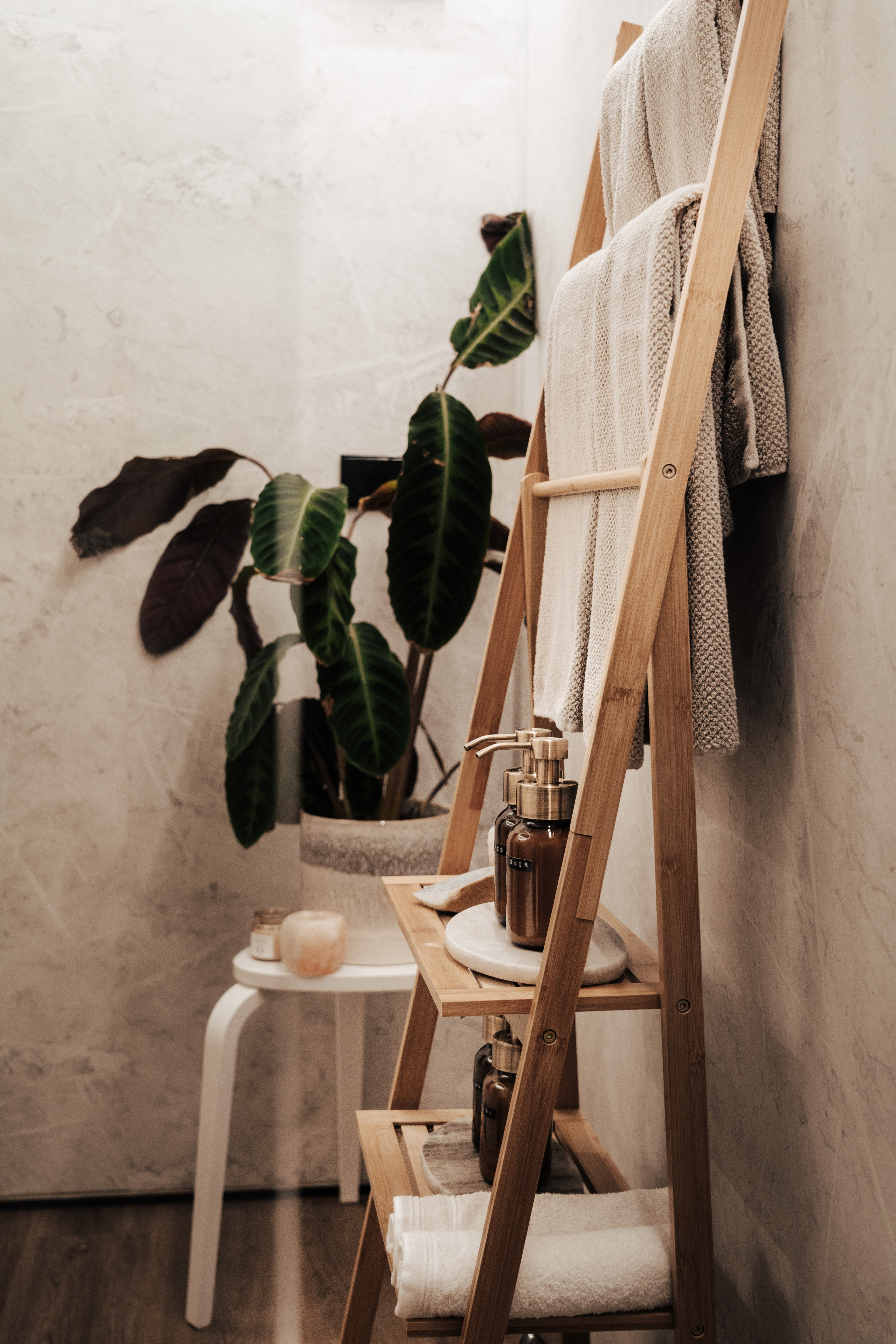 - image: 23