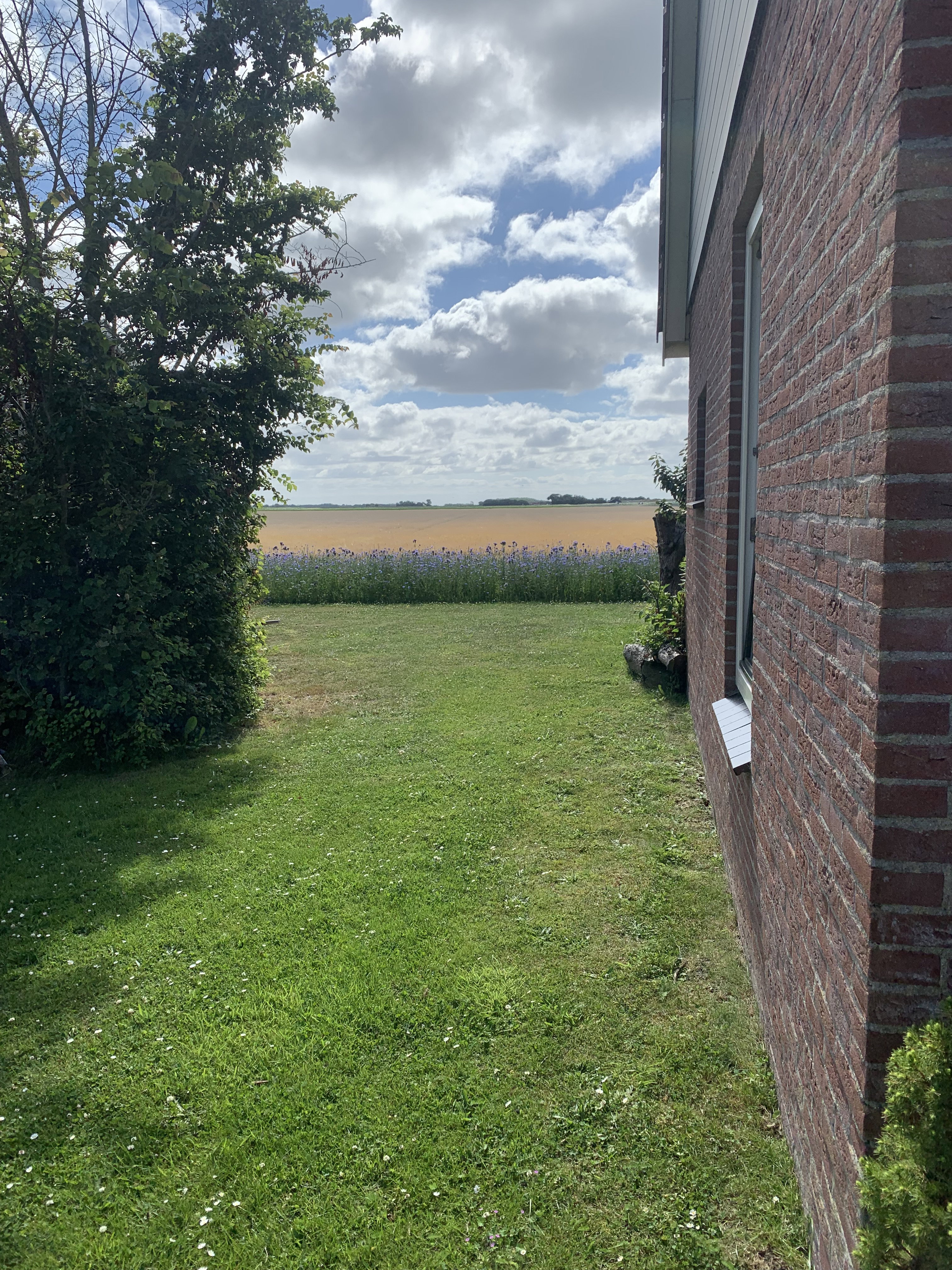 Naturhäuschen in De Koog