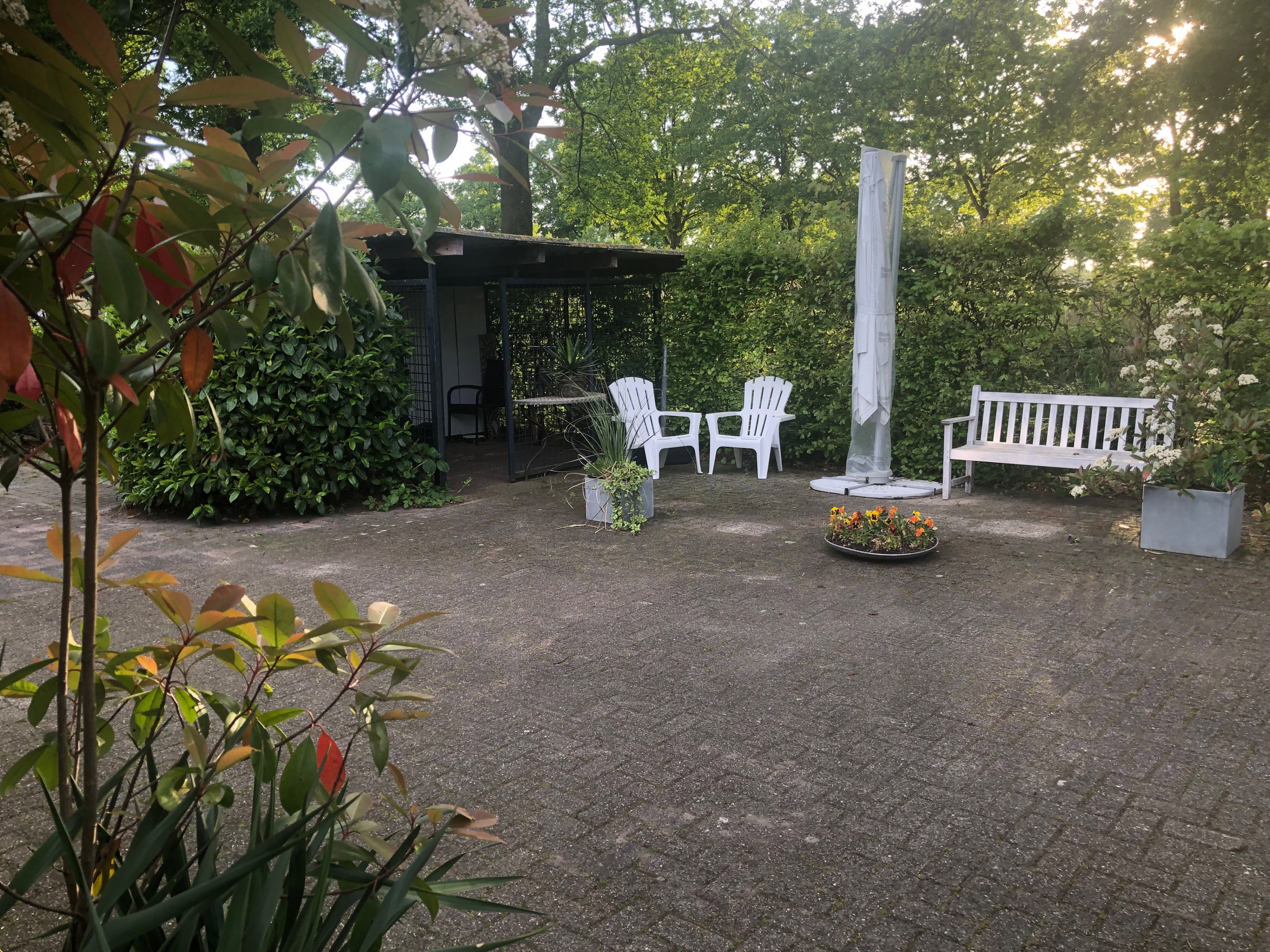 Casa nella natura a Lettele