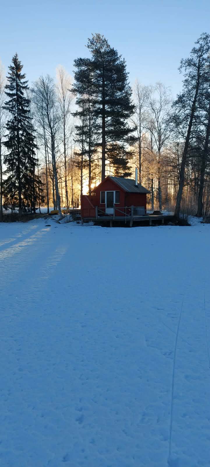 - image: 46