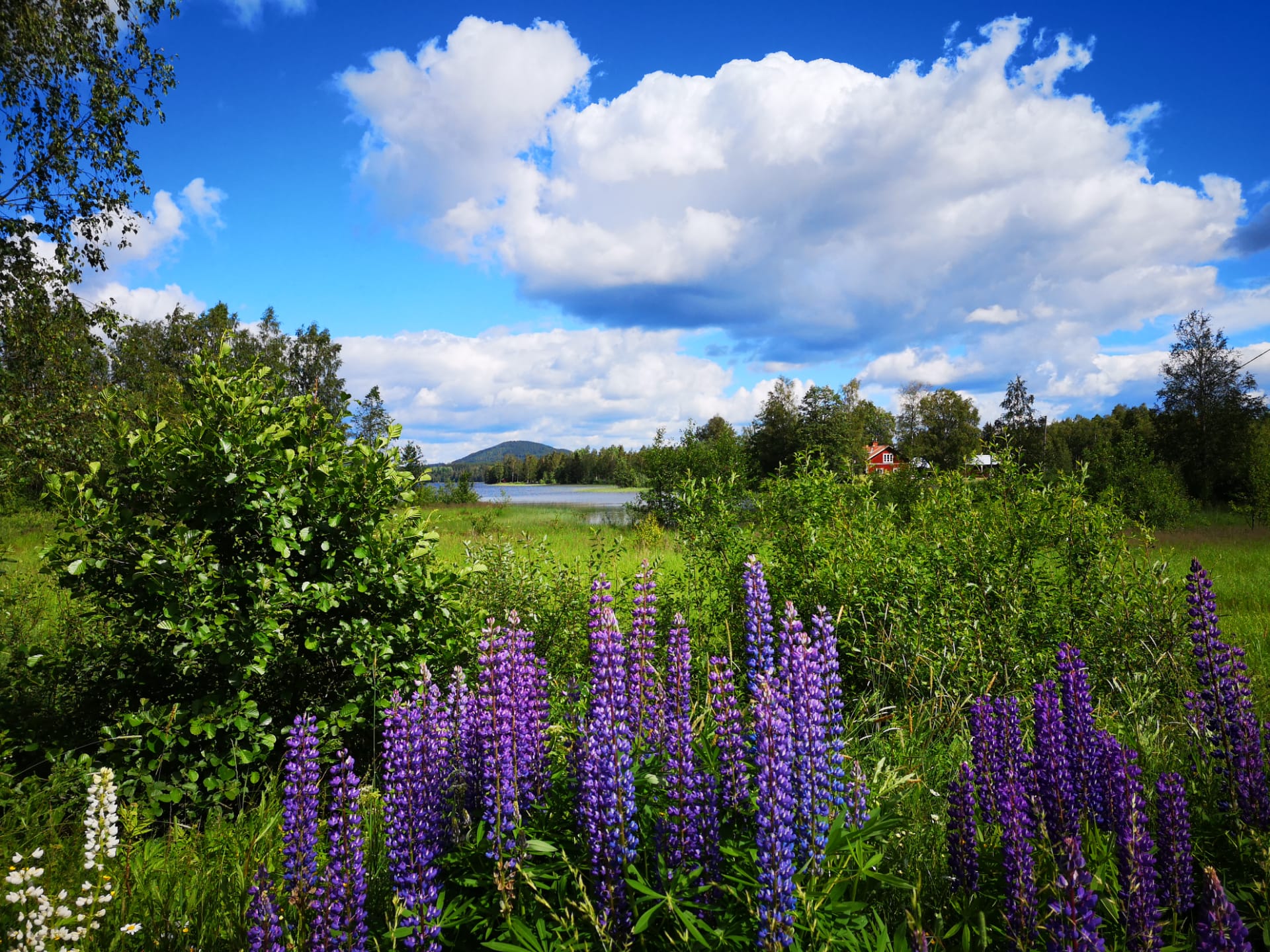 Casa nella natura a Ekshärad
