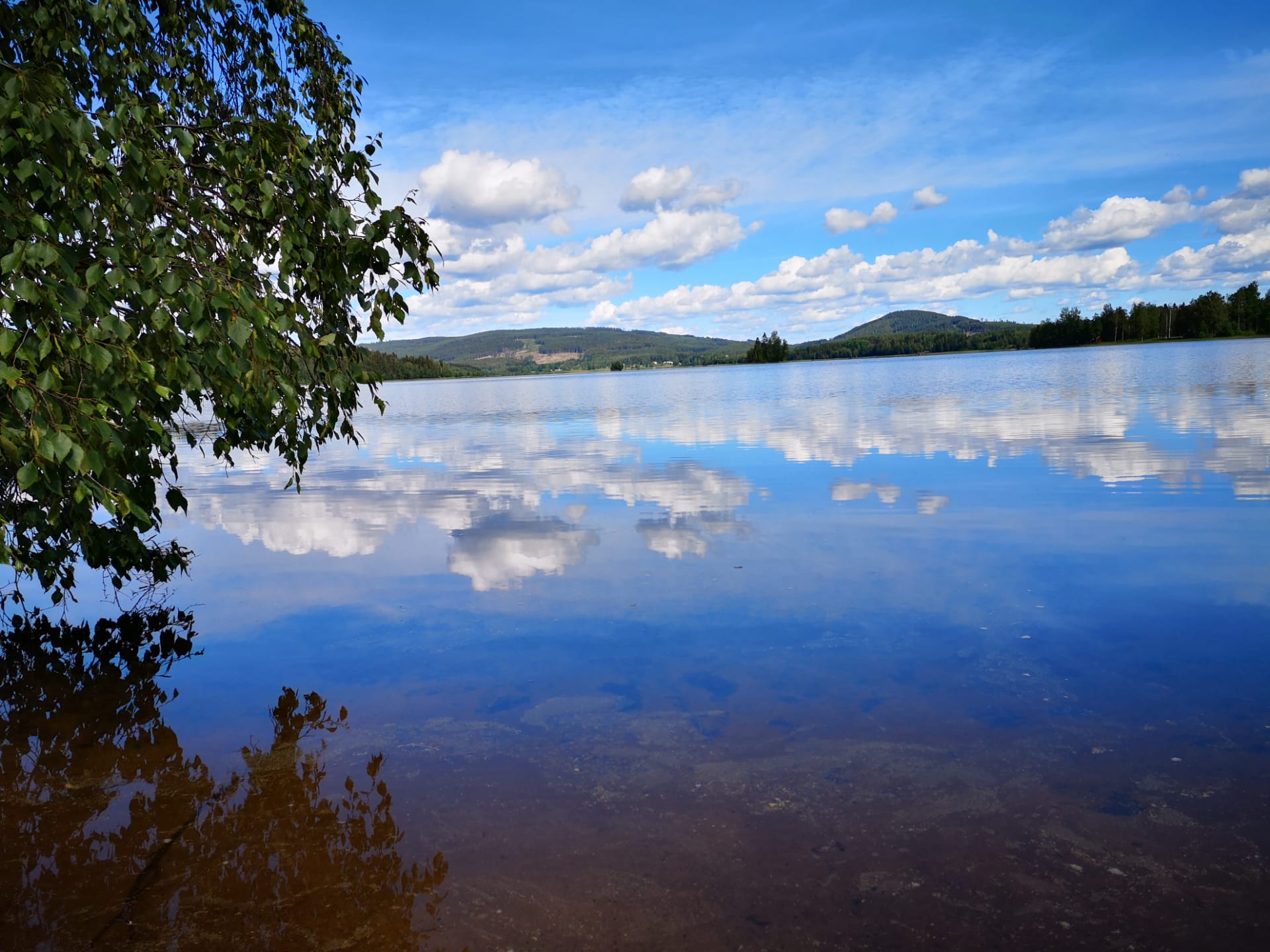 - image: 12