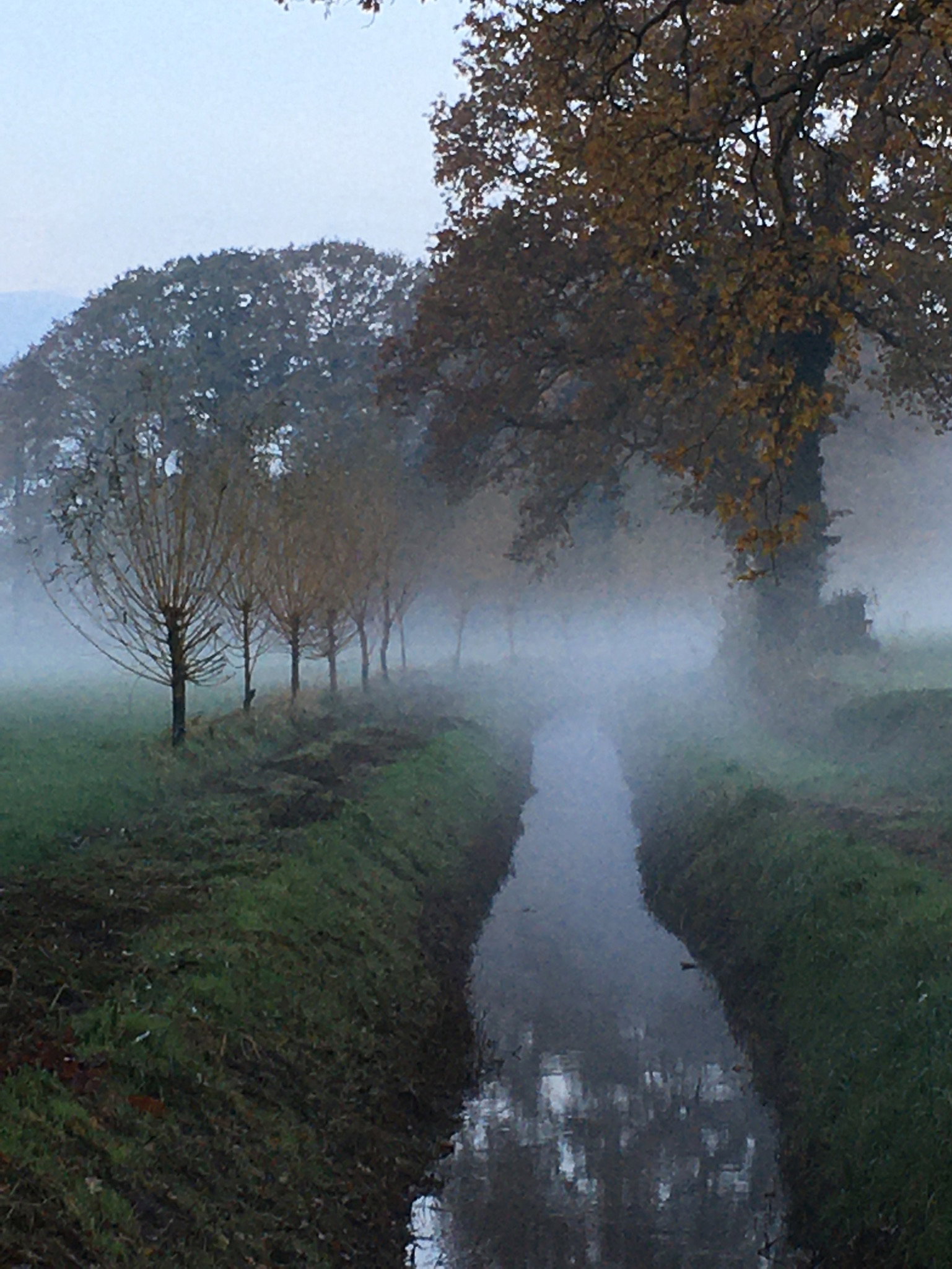 Naturhäuschen in Aalten