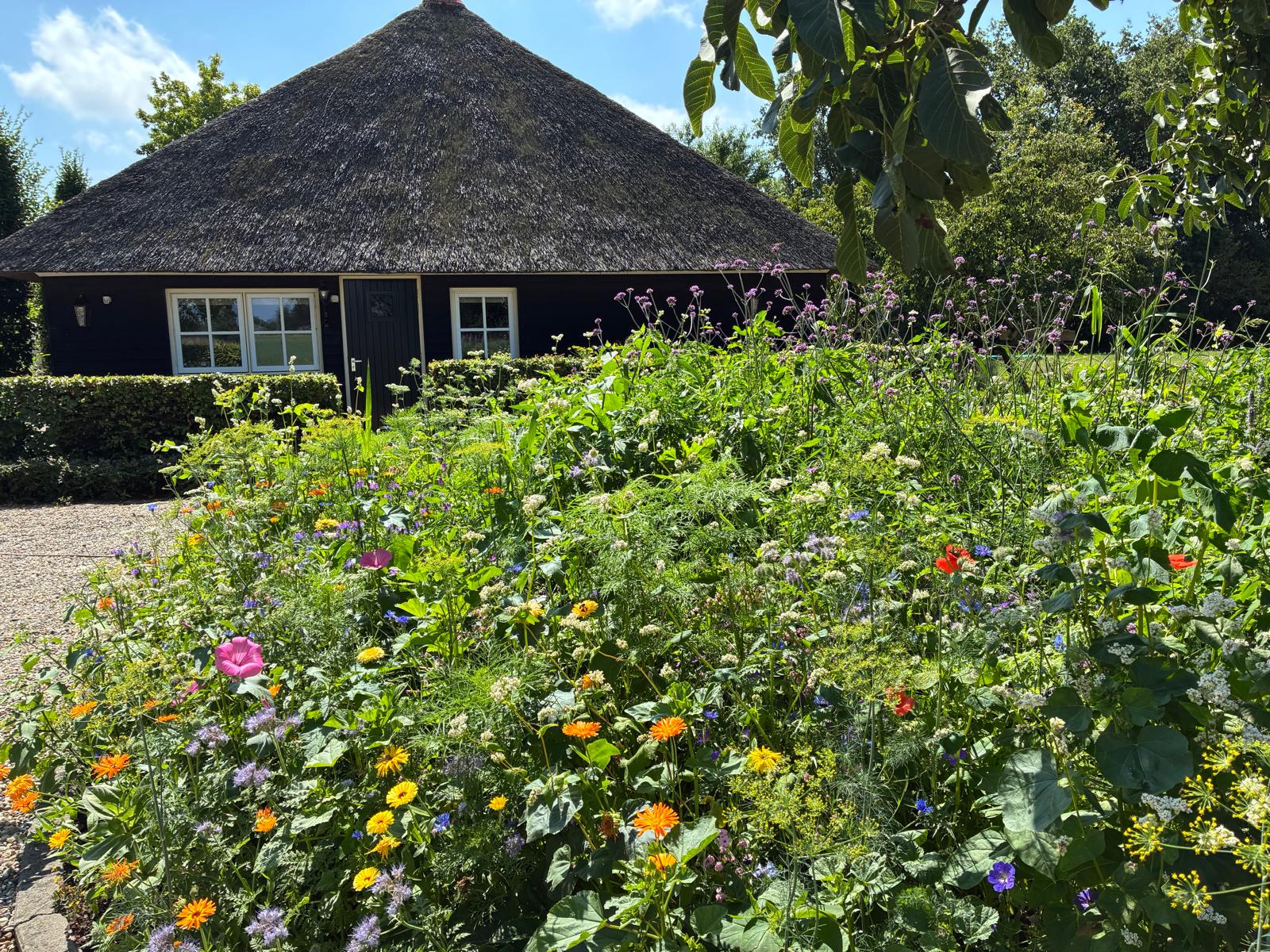 Natuurhuisje in Dalfsen