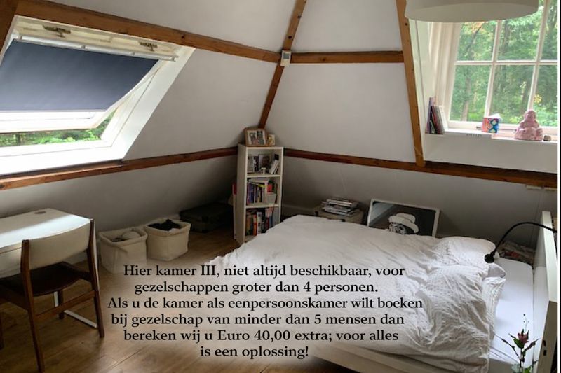 - image: 12