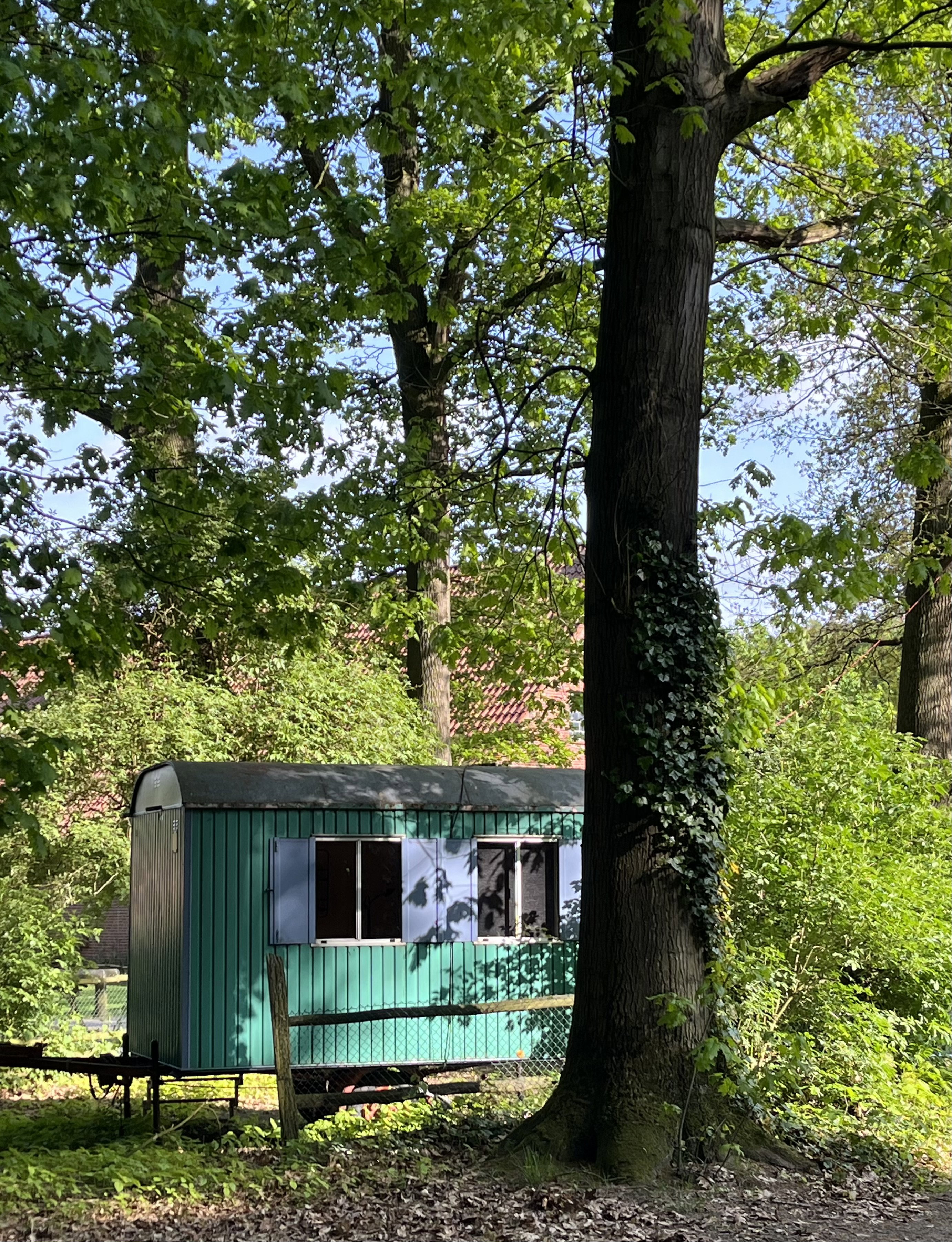 Casa nella natura a Saerbeck