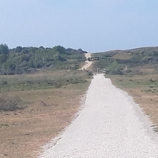 Naturhäuschen in Goedereede