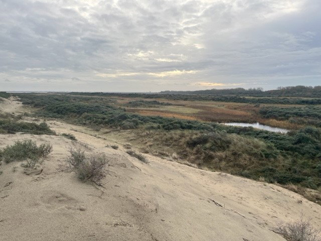 Naturhäuschen in Goedereede