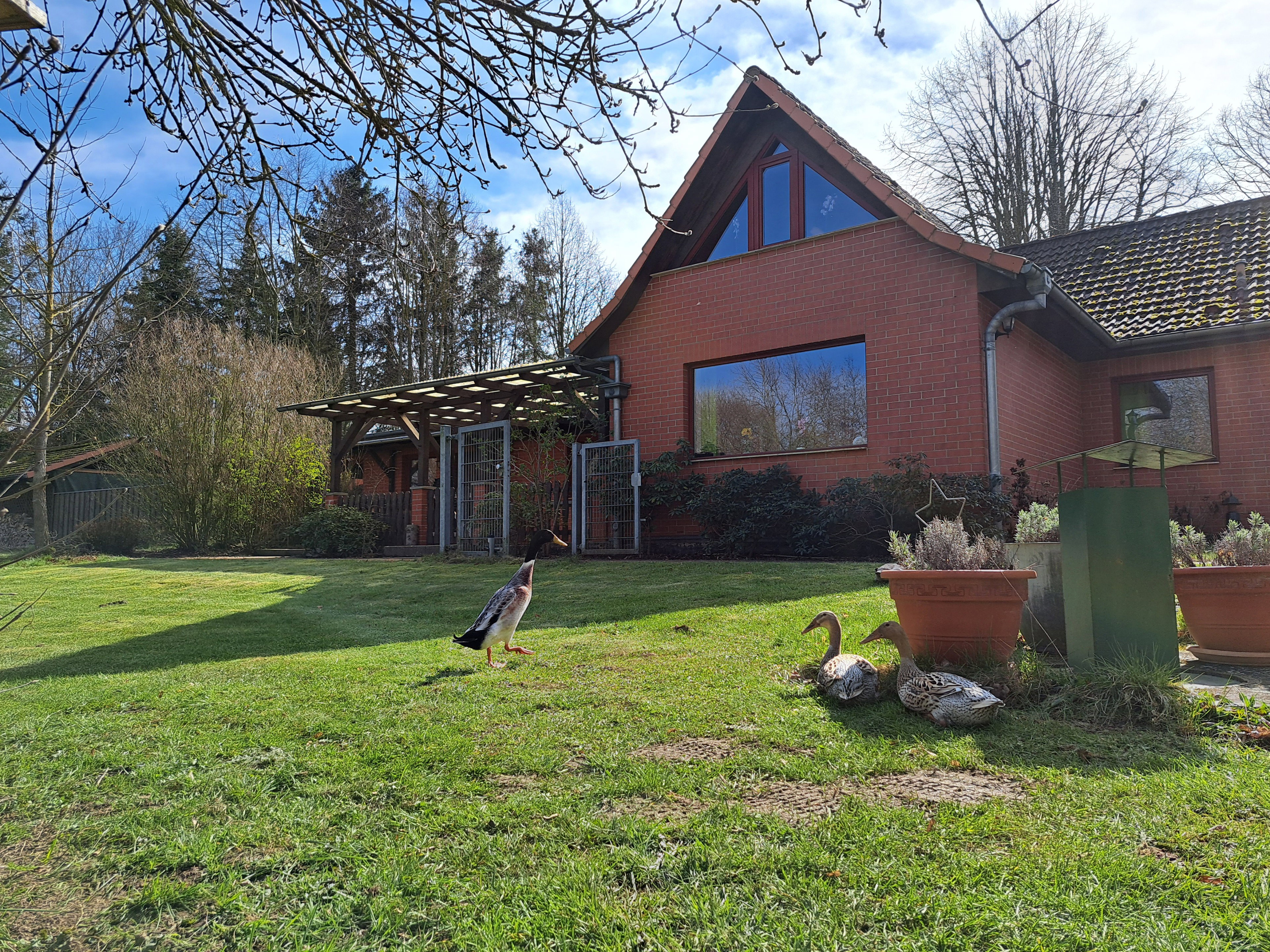 Naturhäuschen in Hof Grabow