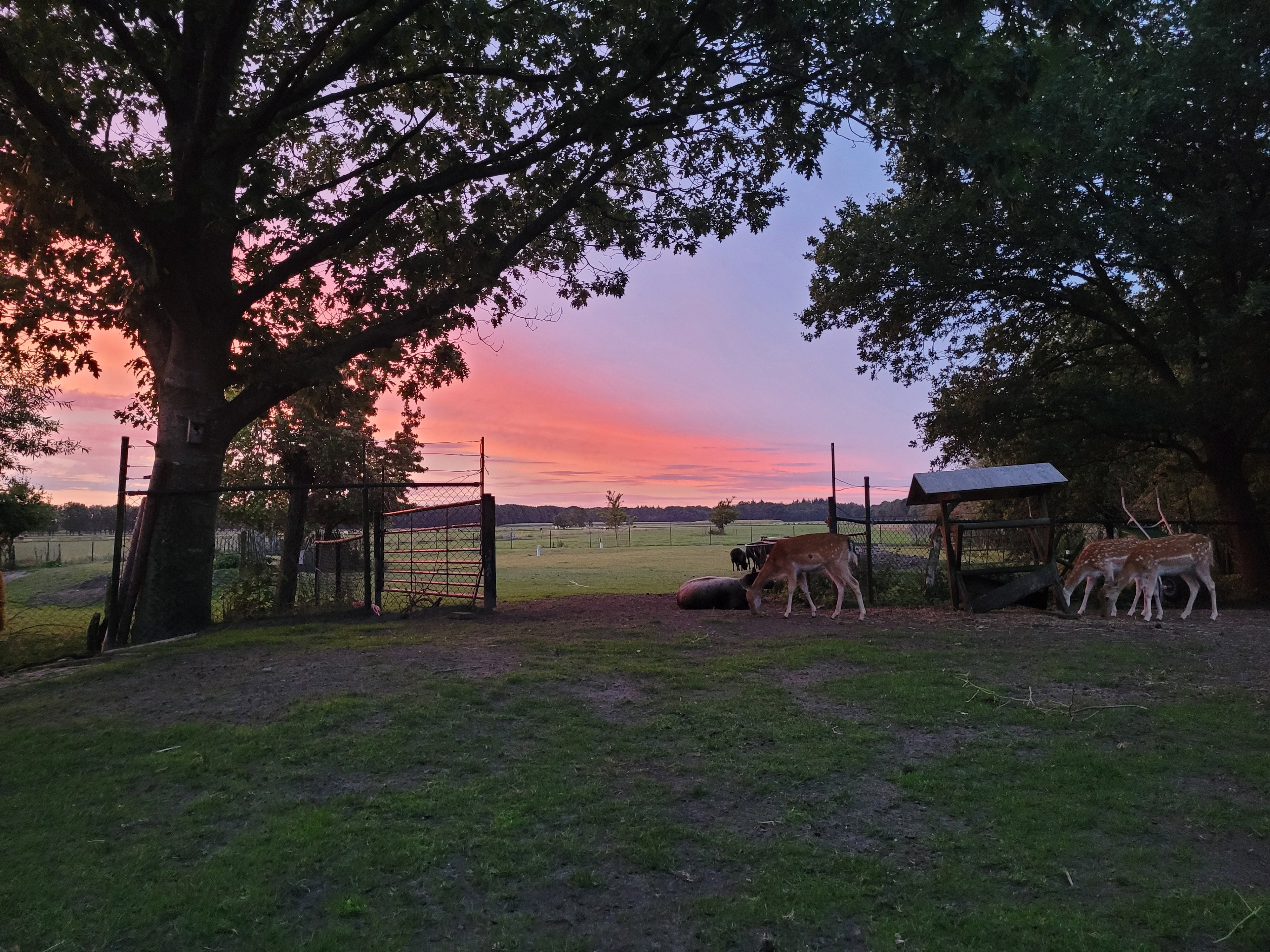 Maison nature à Maartensdijk